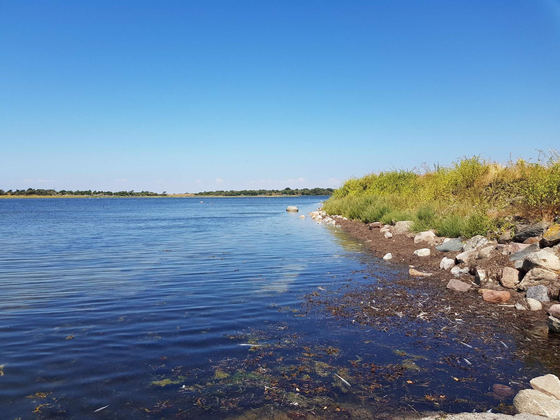 Sfeervol rietgedekt vakantiehuis bij Sakskøbing met uitzicht op zee - foto 7