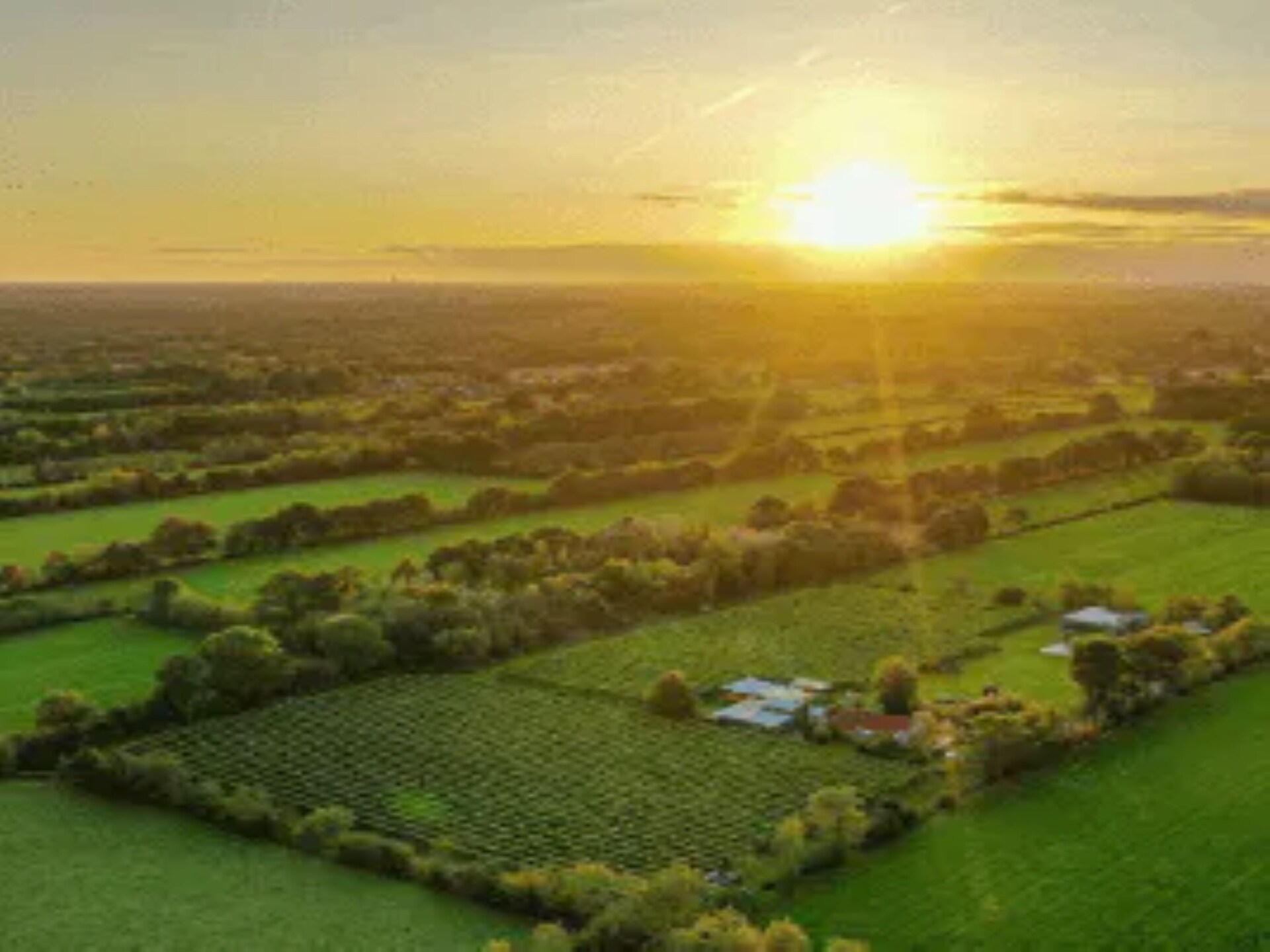 Safaritent Gaadlik – Glamping in het hart van De Fryske Wâlden - foto 29
