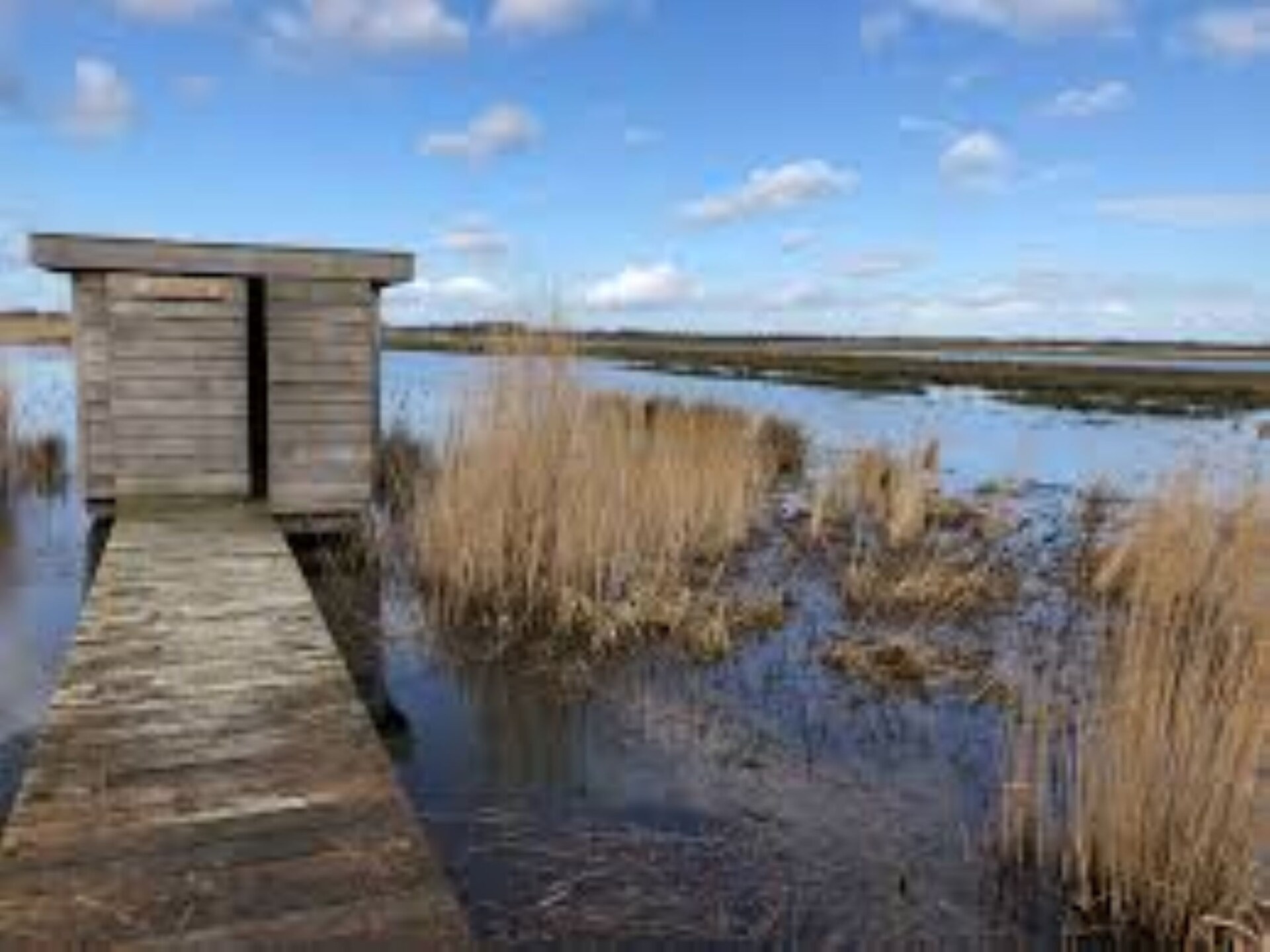 Safaritenten Noflik & Gaadlik: Luxe kamperen in het Friese landschap - foto 23