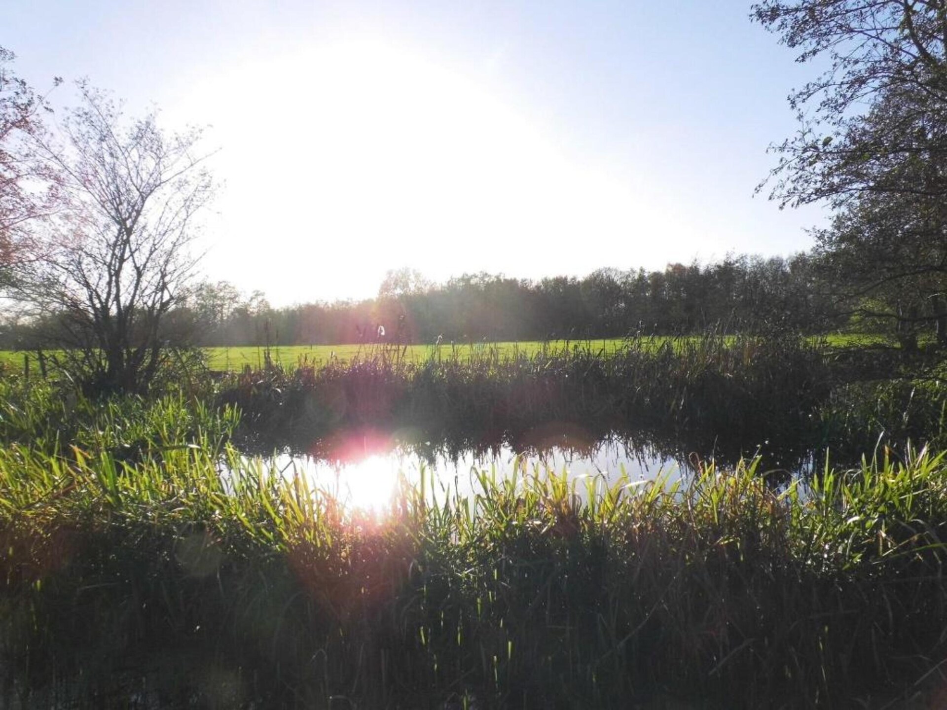 Safaritenten Noflik & Gaadlik: Luxe kamperen in het Friese landschap - foto 32