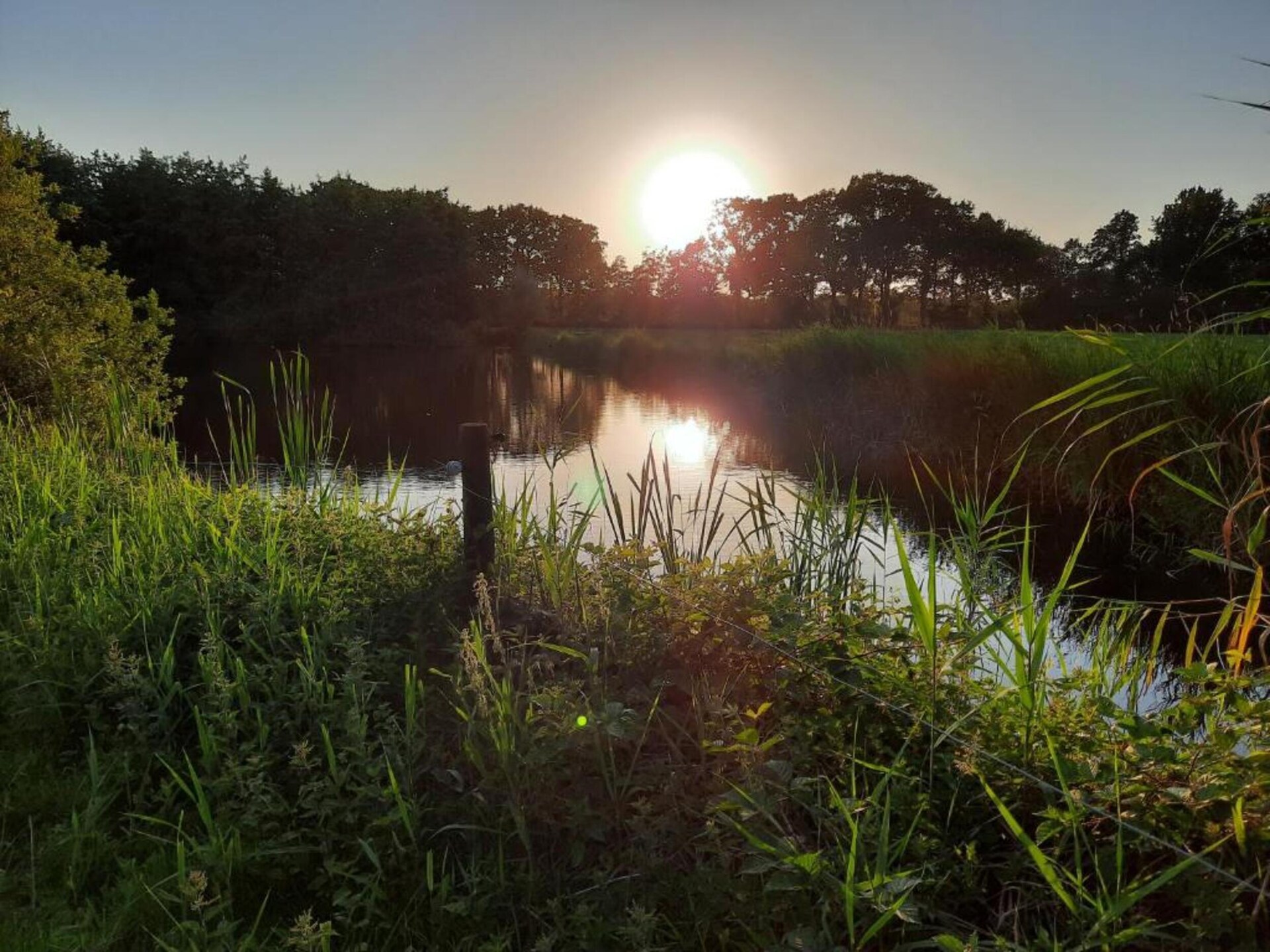 Safaritenten Noflik & Gaadlik: Luxe kamperen in het Friese landschap - foto 31
