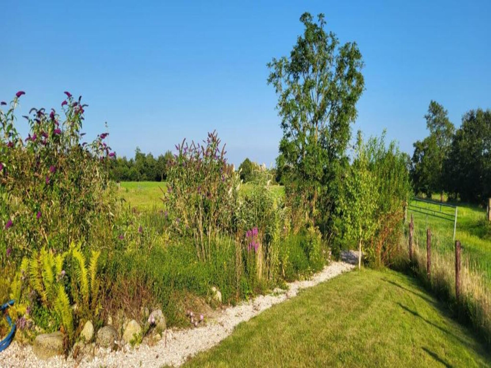 Safaritenten Noflik & Gaadlik: Luxe kamperen in het Friese landschap - foto 35