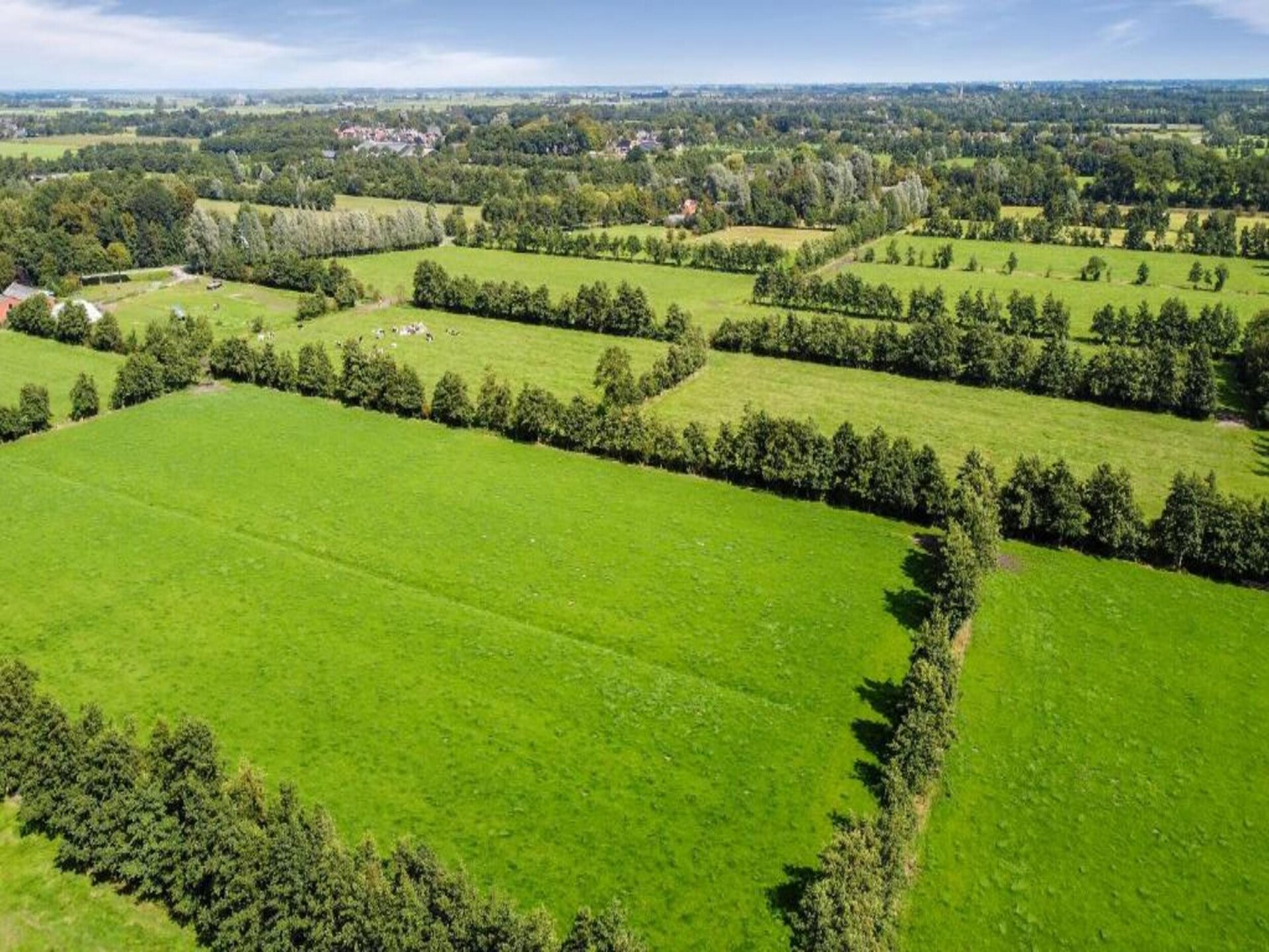 Safaritenten Noflik & Gaadlik: Luxe kamperen in het Friese landschap - foto 36