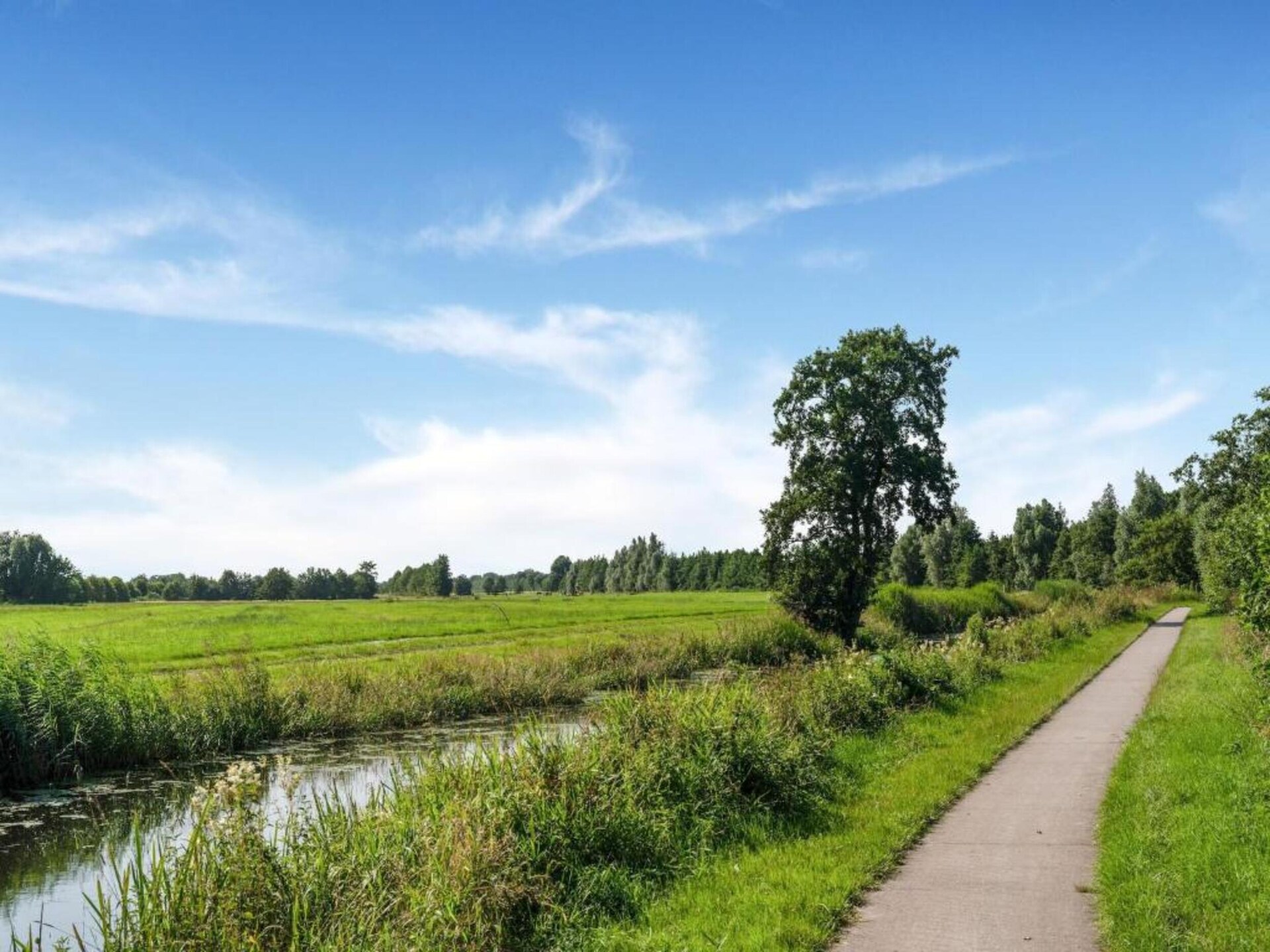 Safaritenten Noflik & Gaadlik: Luxe kamperen in het Friese landschap - foto 38