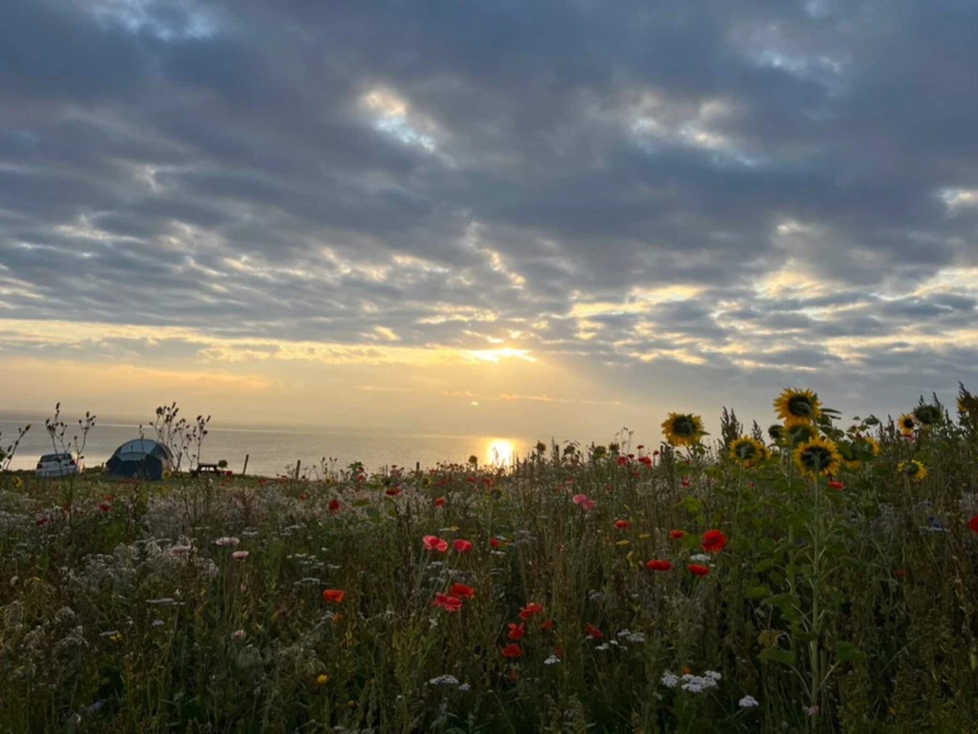 Authentiek vakantiehuis bij Tårup voor 4 personen met hond - foto 10