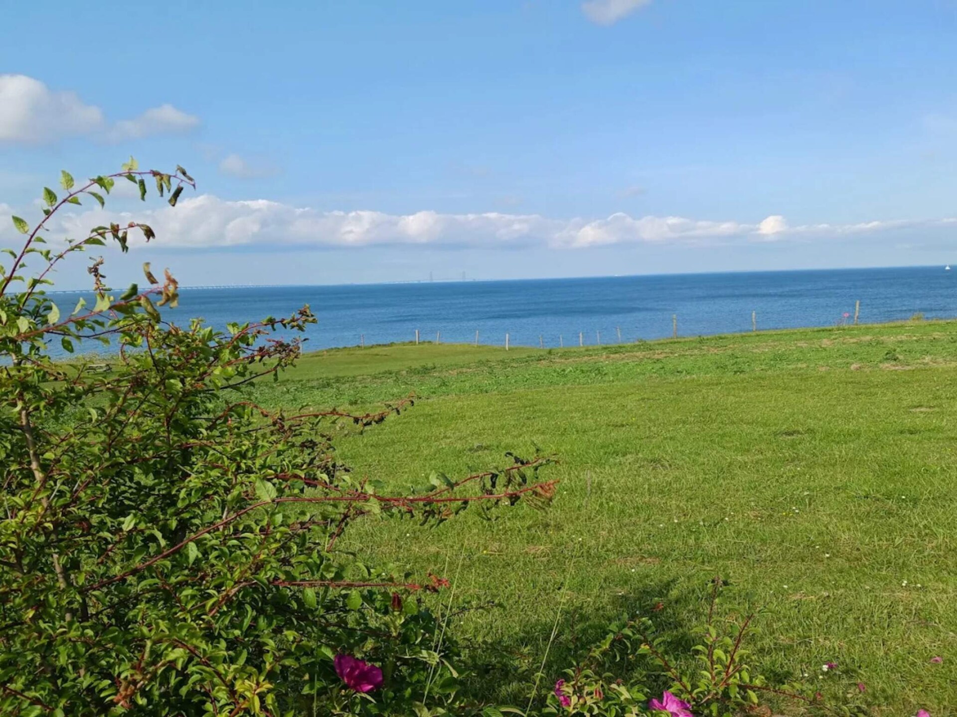 Authentiek vakantiehuis bij Tårup voor 4 personen met hond - foto 32