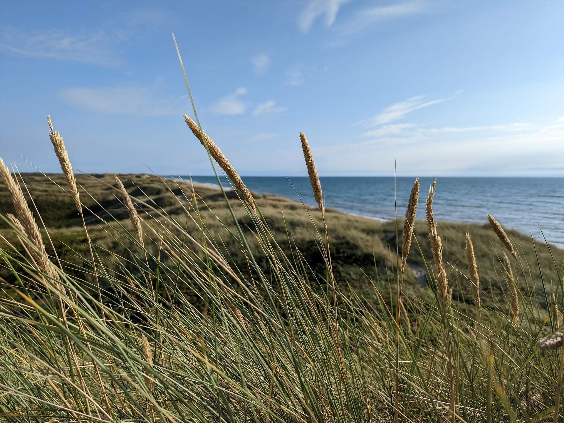 5-persoons vakantiehuis in Ulfborg op 1,3 km van de zee - foto 9