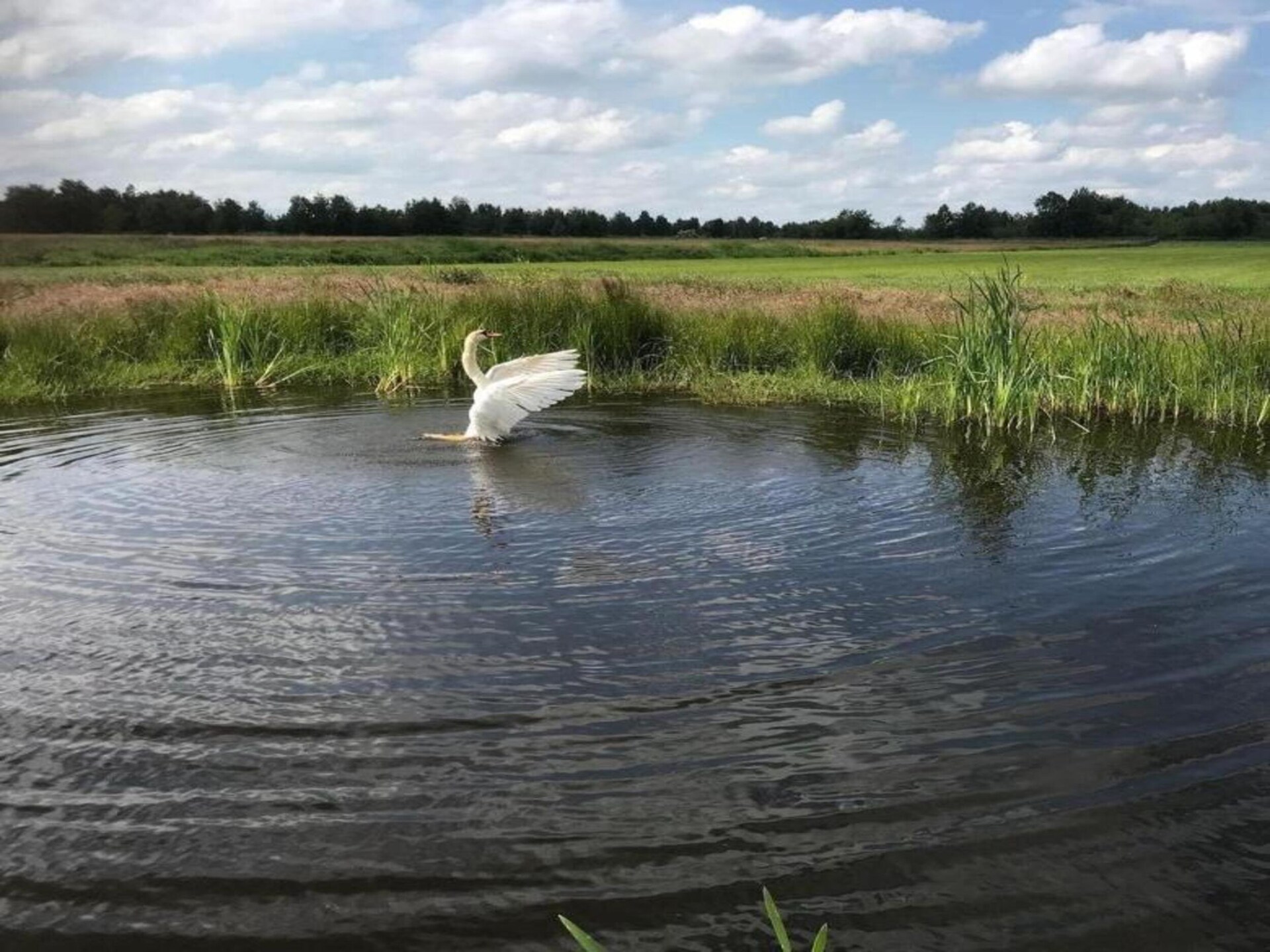 Luxe glampingtent met badkamer in hart van Friese waterrijk - foto 34