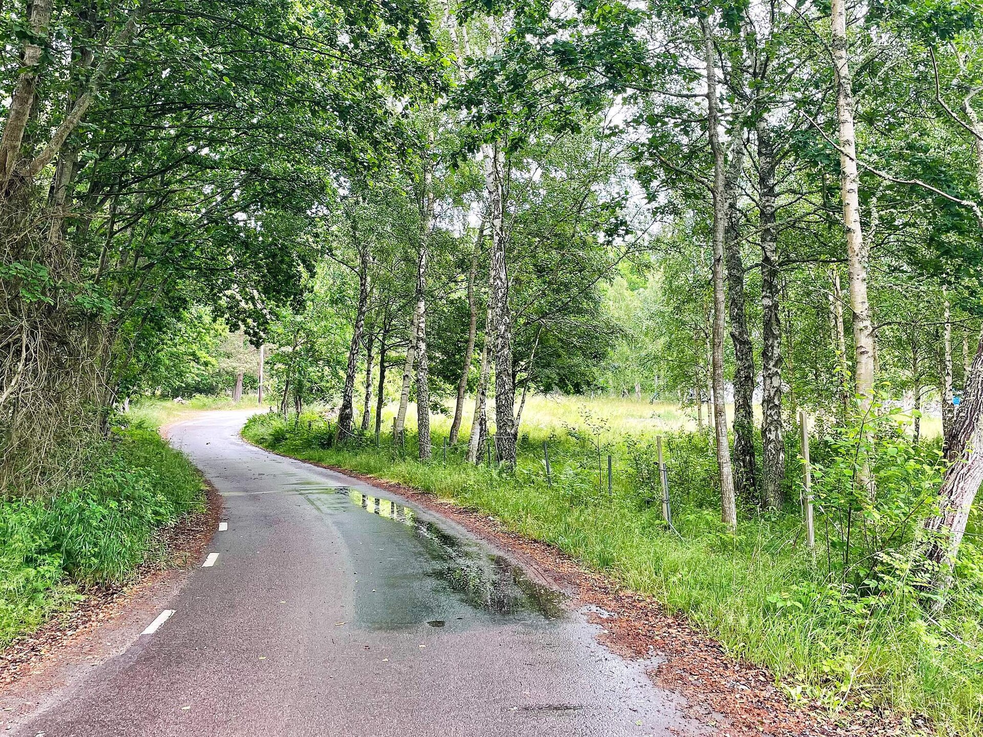 Knus vrijstaand vakantiehuis op zonnig Aspö, 400m van zee - foto 30