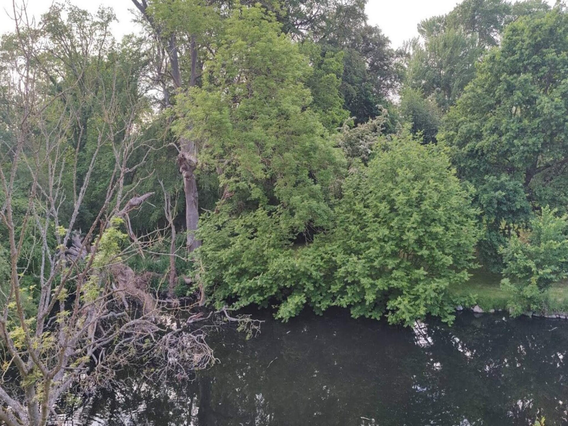 Rustiek vakantiehuis in Rudkøbing voor 4 personen - foto 22