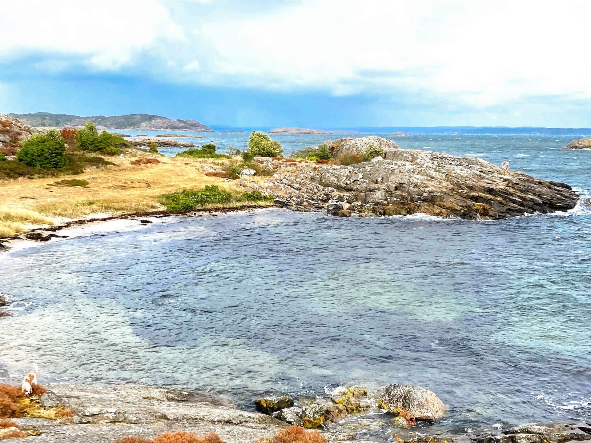 Knus wit vakantiehuisje op Tjörn, vlakbij zee en golfbaan - foto 13