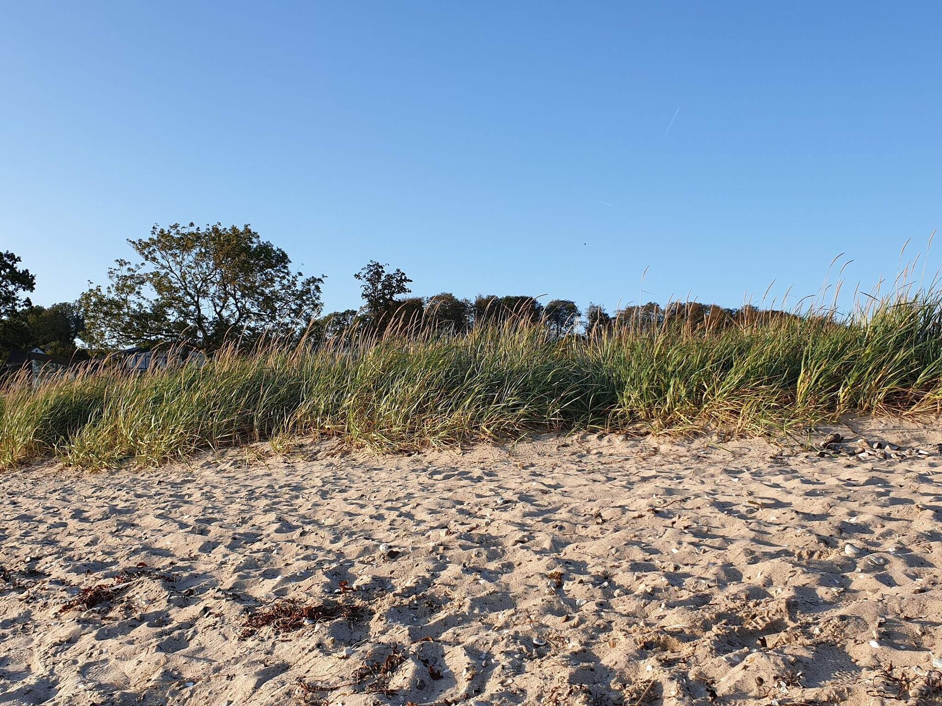 Gerenoveerd vakantiehuis met zeezicht en omheinde tuin bij Aabenraa - foto 4