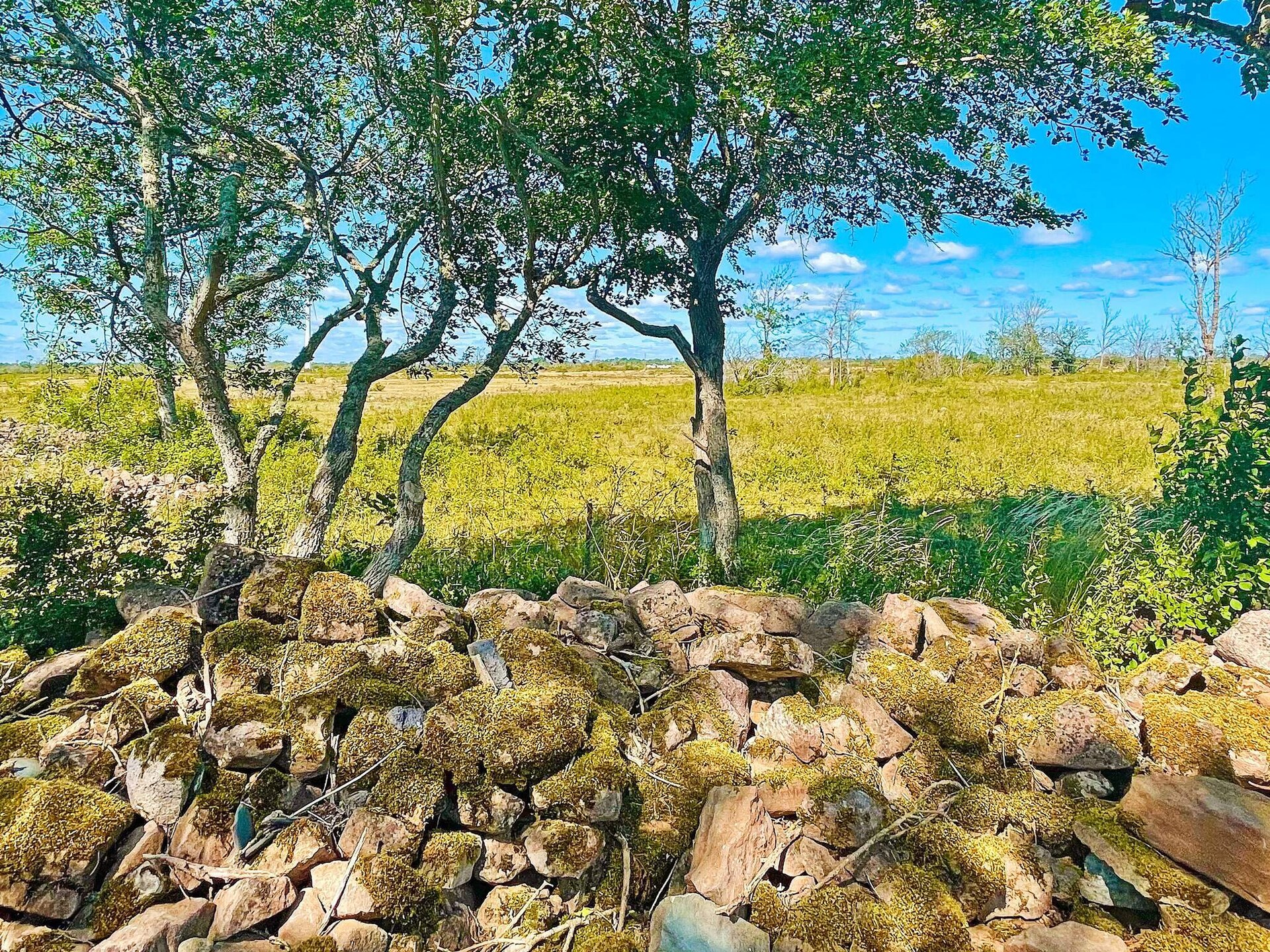 Sfeervol vakantiehuis in Borgholm met uitzicht op Öländska Alvaret - foto 27
