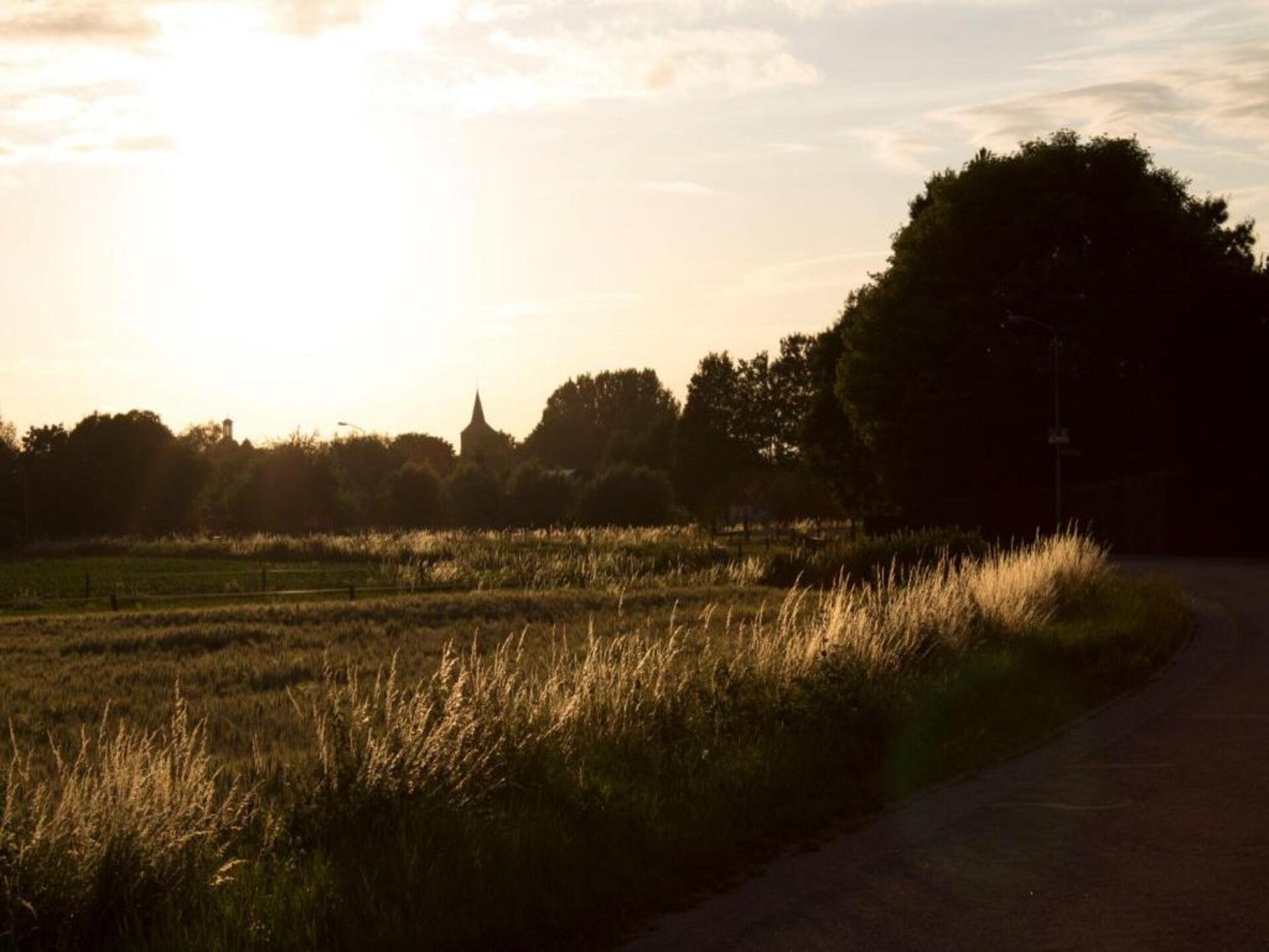 Vrijstaand vakantiehuis aan recreatiemeer in Ewijk, 3 slaapkamers - foto 37