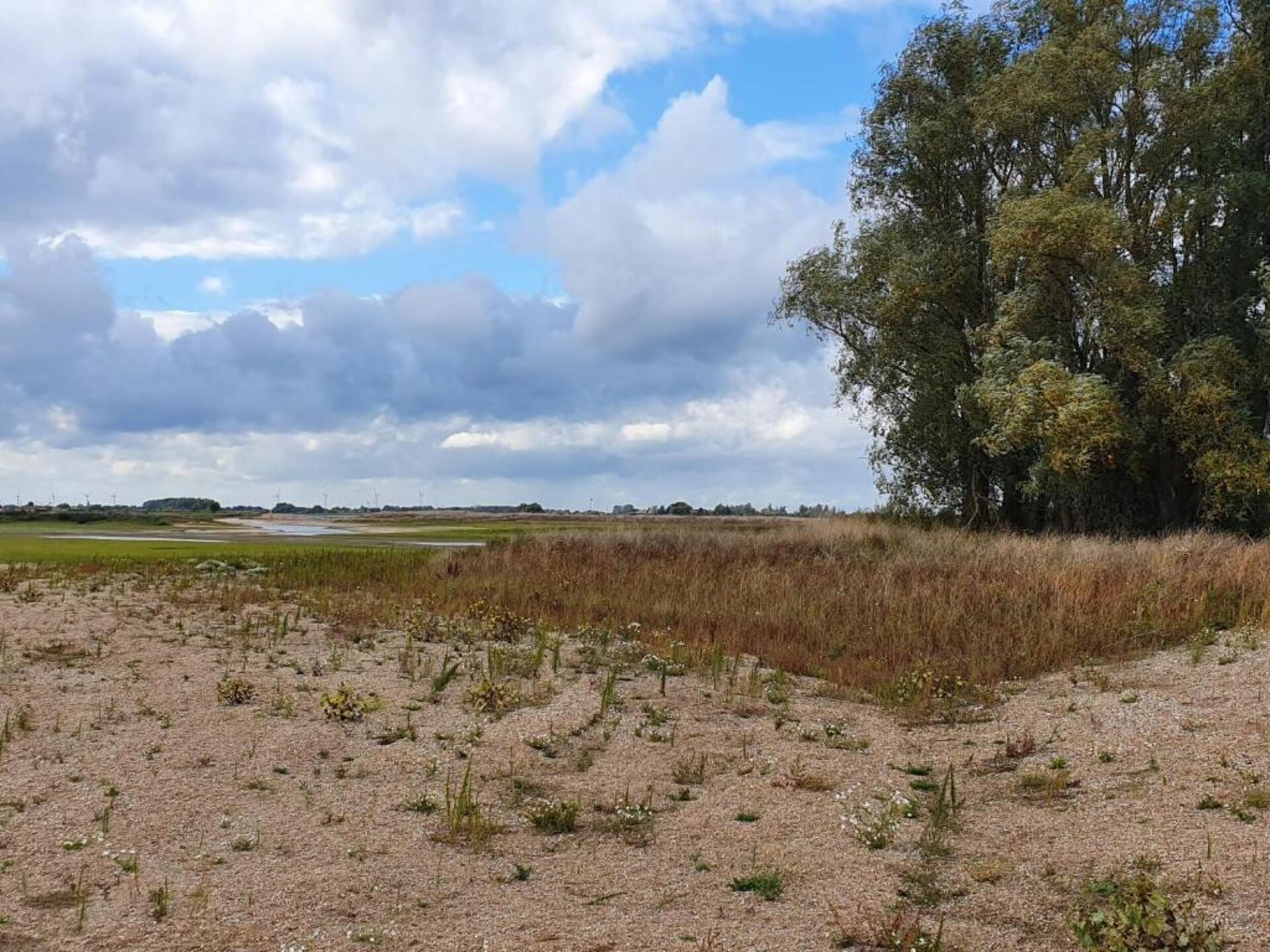 Vrijstaand vakantiehuis aan recreatiemeer in Ewijk, 3 slaapkamers - foto 22