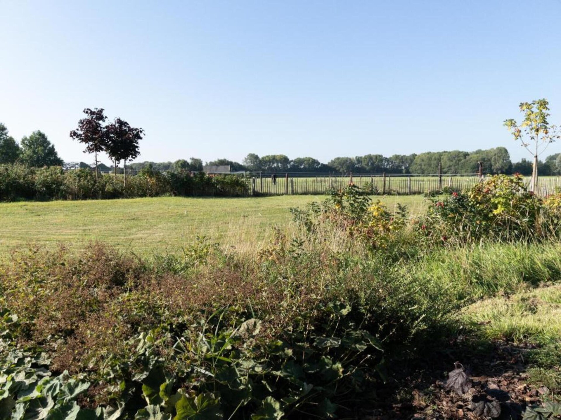 Vrijstaande villa in Vakantiepark 't Broeckhuys nabij Nijmegen - foto 35