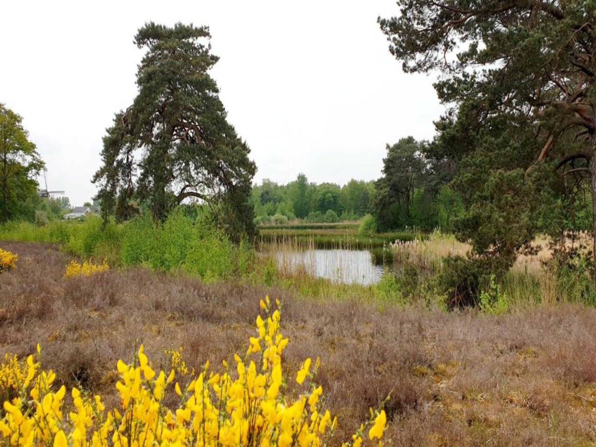 Vrijstaande villa in Vakantiepark 't Broeckhuys nabij Nijmegen - foto 28