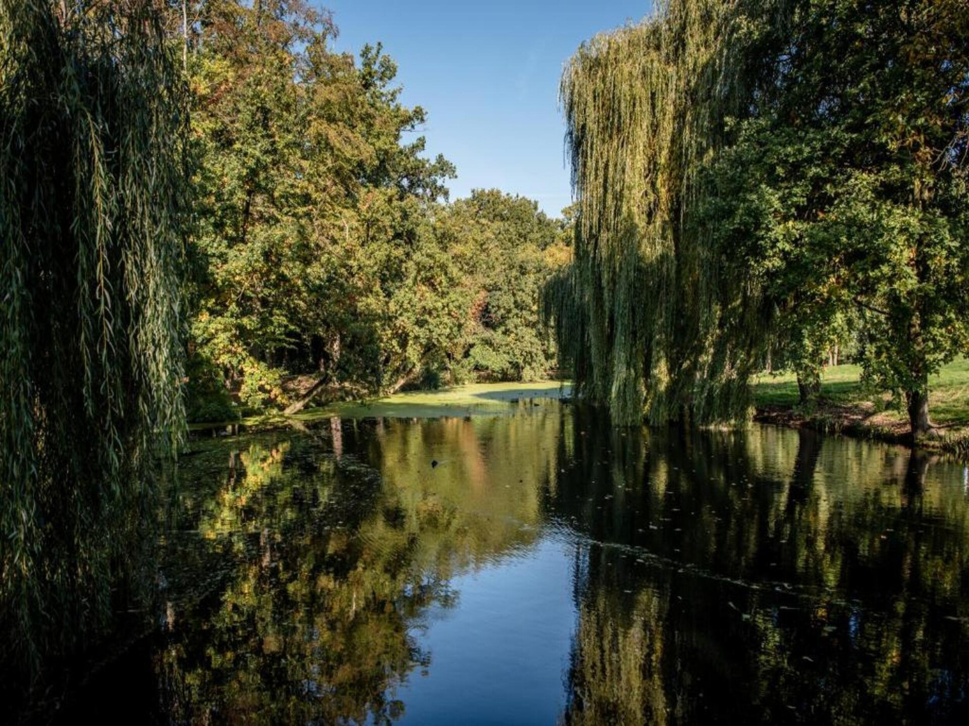 Vrijstaande villa in Vakantiepark 't Broeckhuys nabij Nijmegen - foto 38