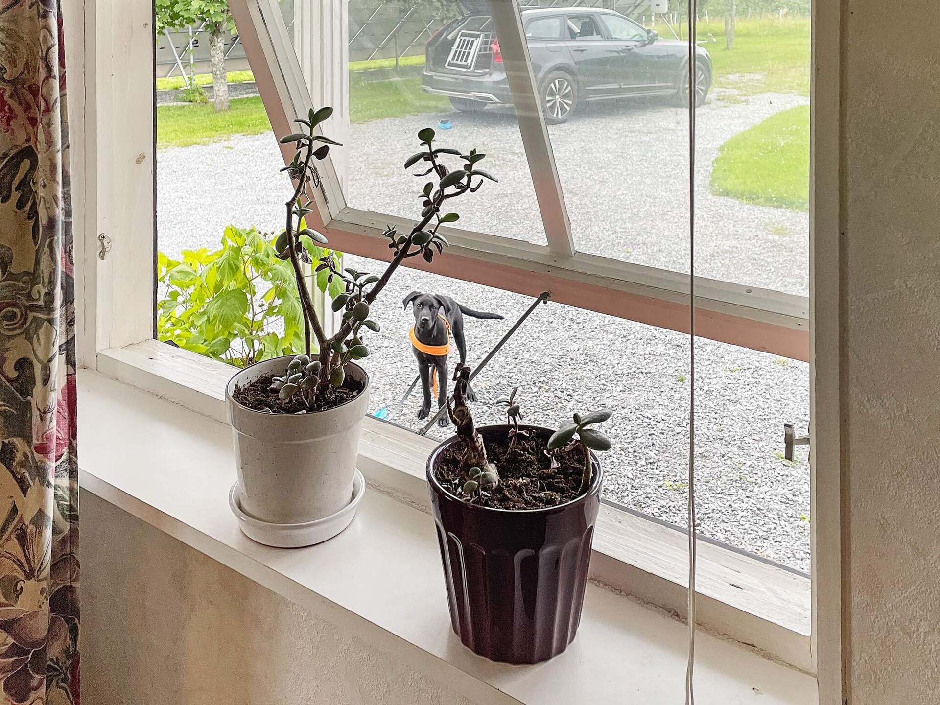 Knus Zweeds vakantiehuisje met sauna en golfbaan nabij Kil - foto 14
