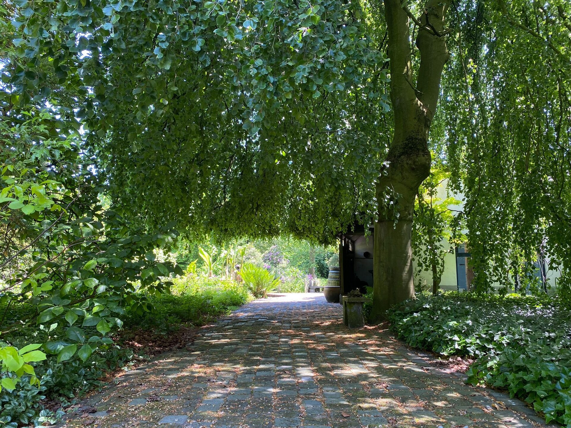 Dorpswoning Het Tolhuis: historisch tollenhuis voor 10 personen in Brabant - foto 26