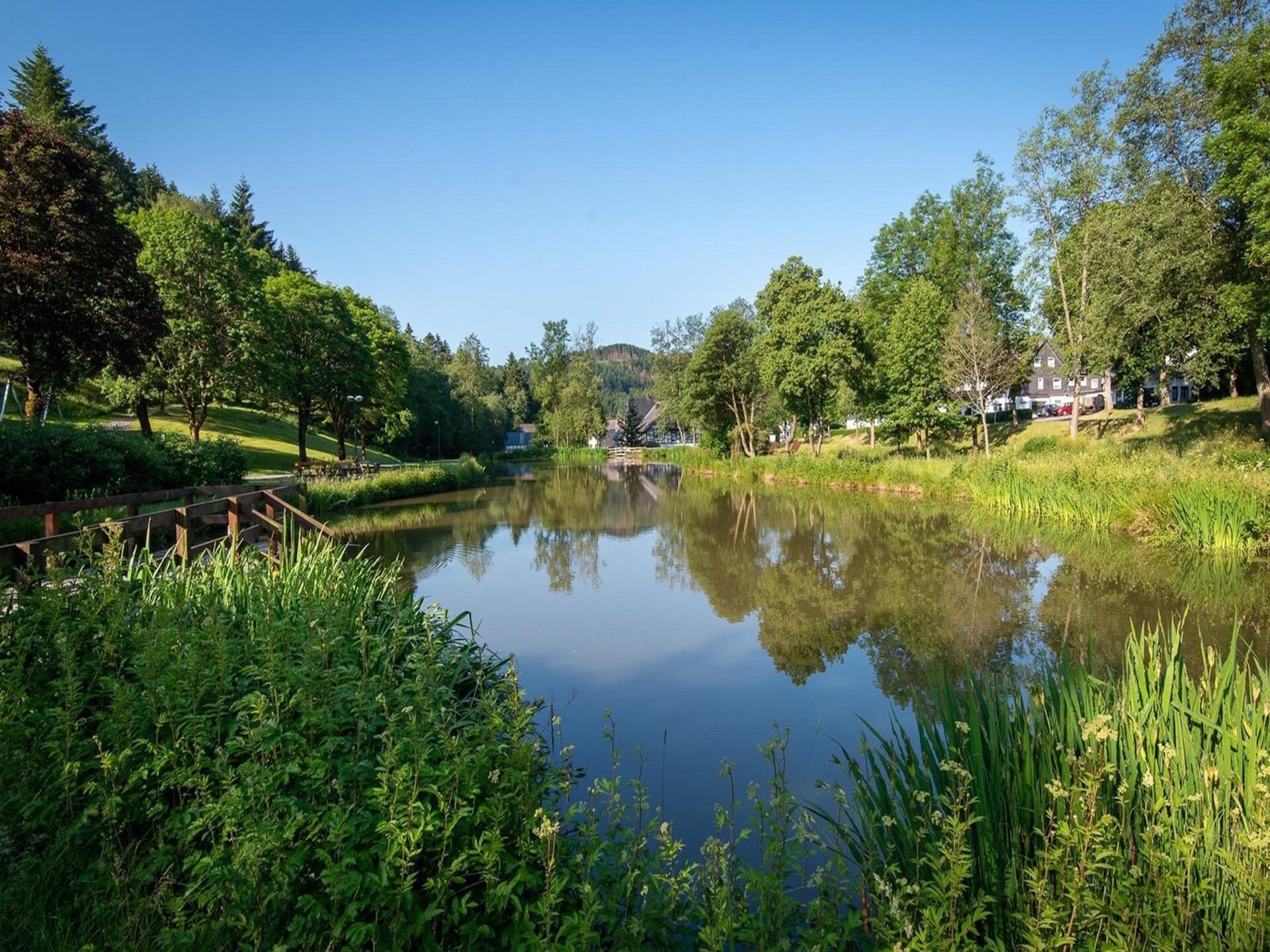 Historisch molenhuis voor 14 personen bij Winterberg, 280m² - foto 40