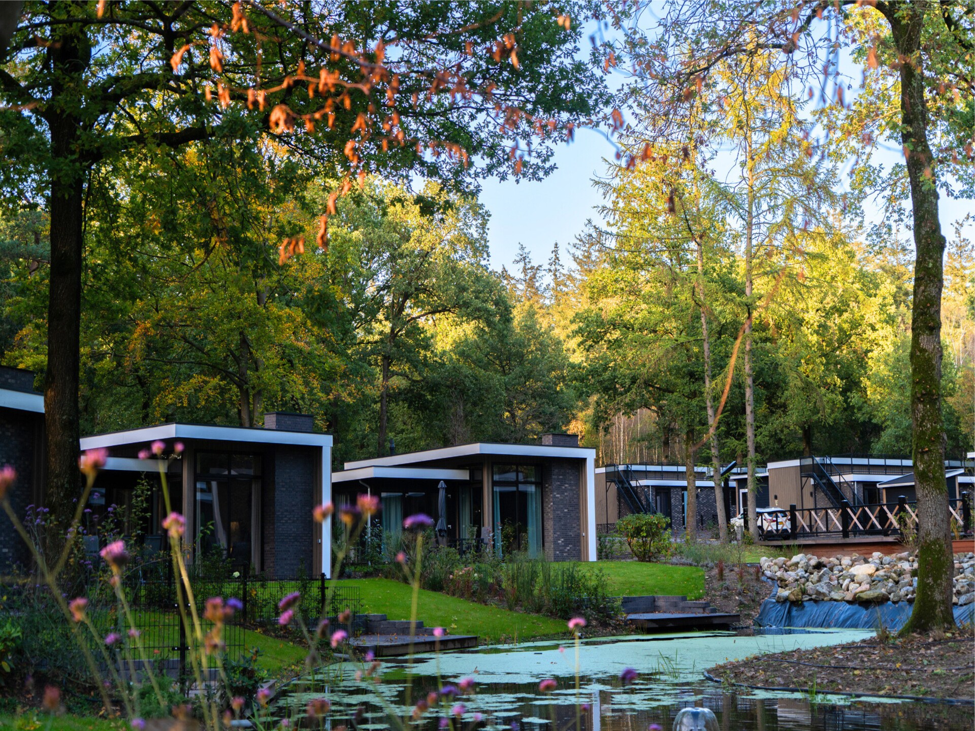 Lichtrijk vakantiehuis aan de rand van het bos op de Veluwe - foto 26