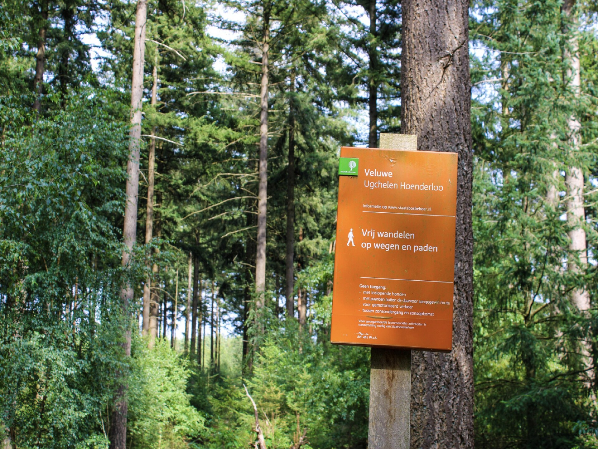 Lichtrijk vakantiehuis aan de rand van het bos op de Veluwe - foto 28