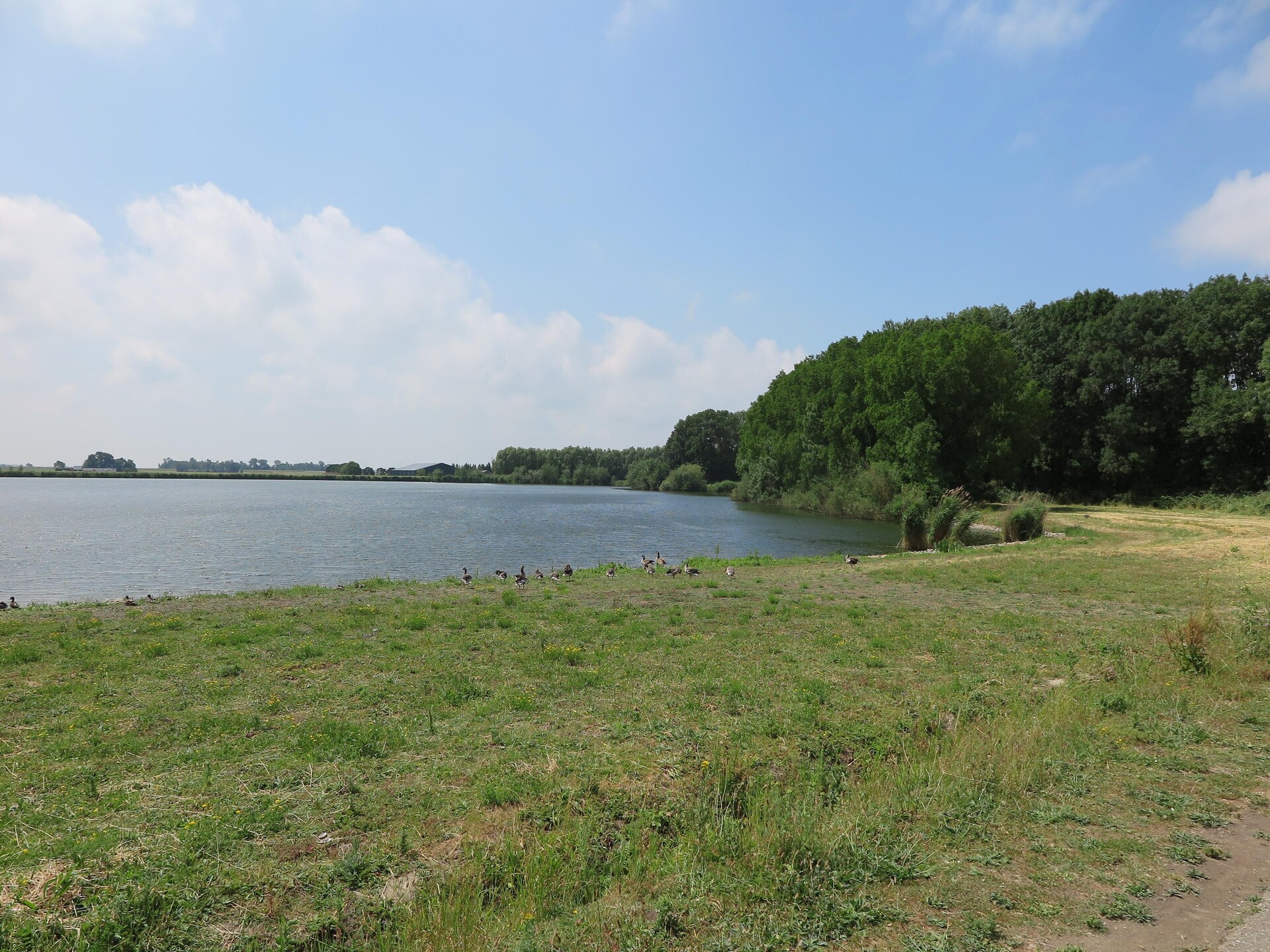 Lake view villa aan het water met zwem- en vissteiger in Bernisse - foto 32