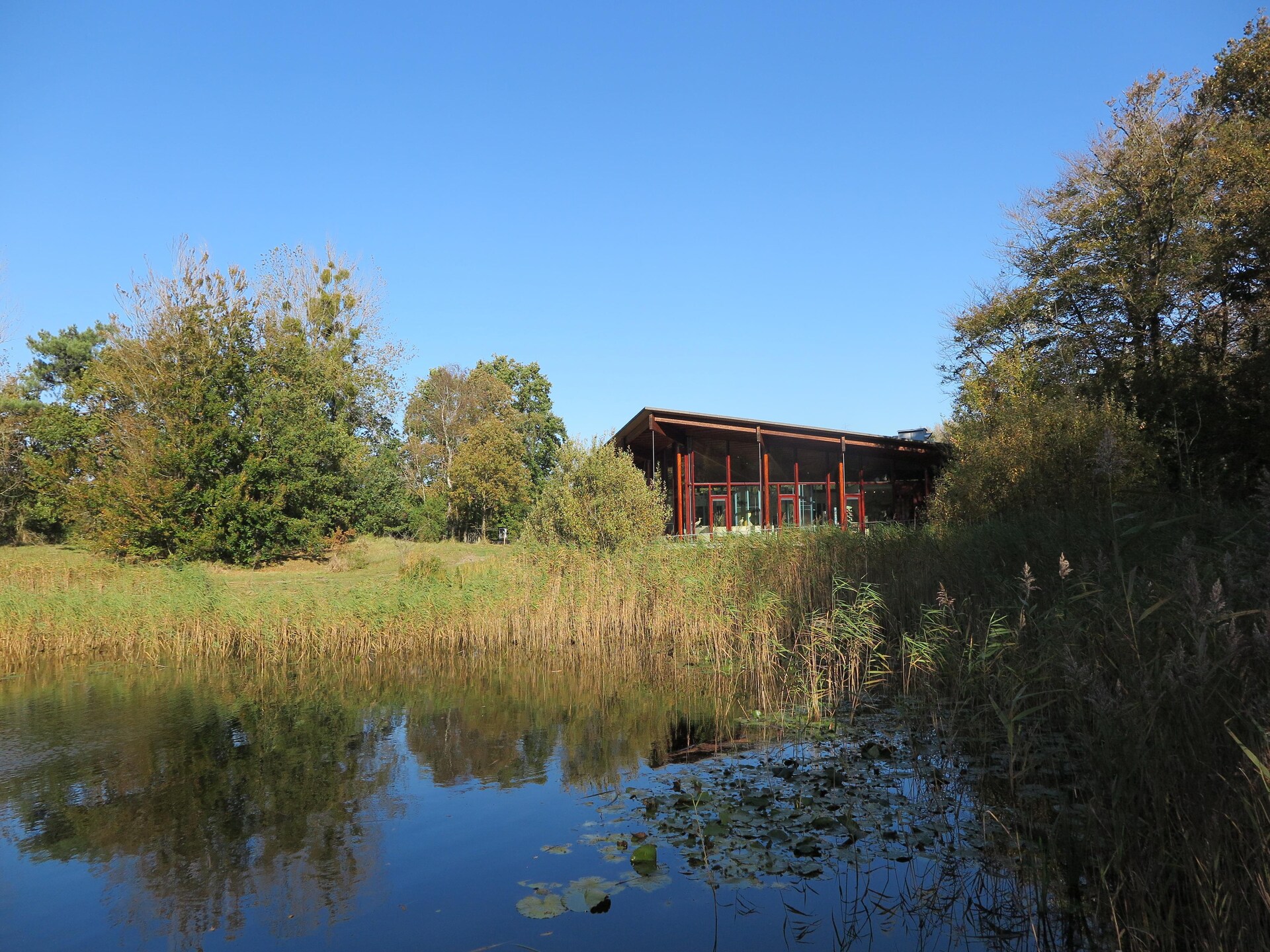 Lake view villa aan het water met zwem- en vissteiger in Bernisse - foto 28
