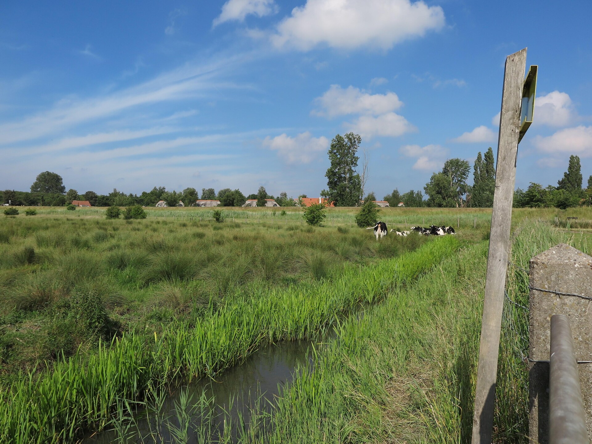 Lake view villa aan het water met zwem- en vissteiger in Bernisse - foto 30