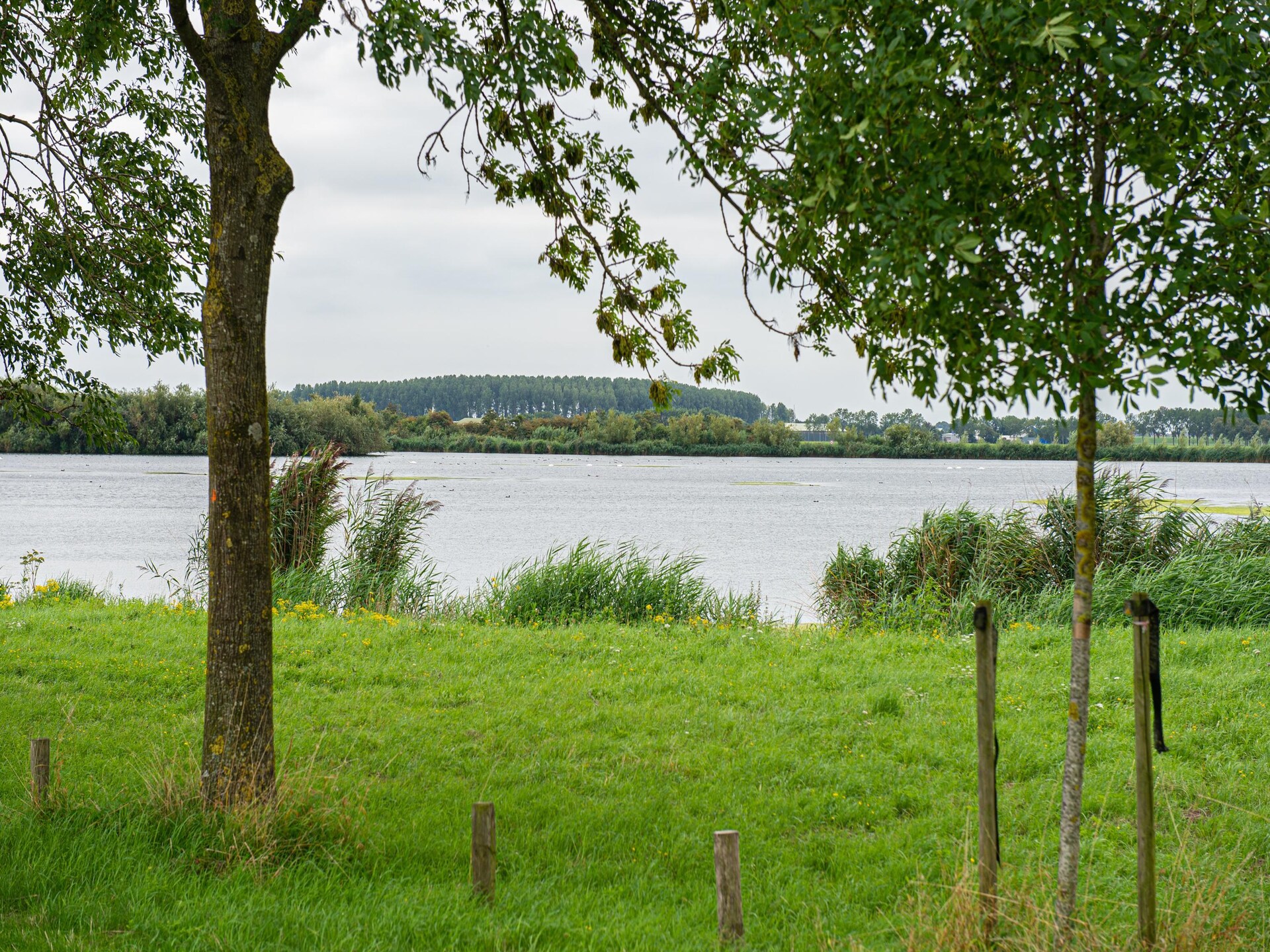 Vrijstaand vakantiehuis Rietzanger 134 aan het water in Zuid-Holland - foto 24
