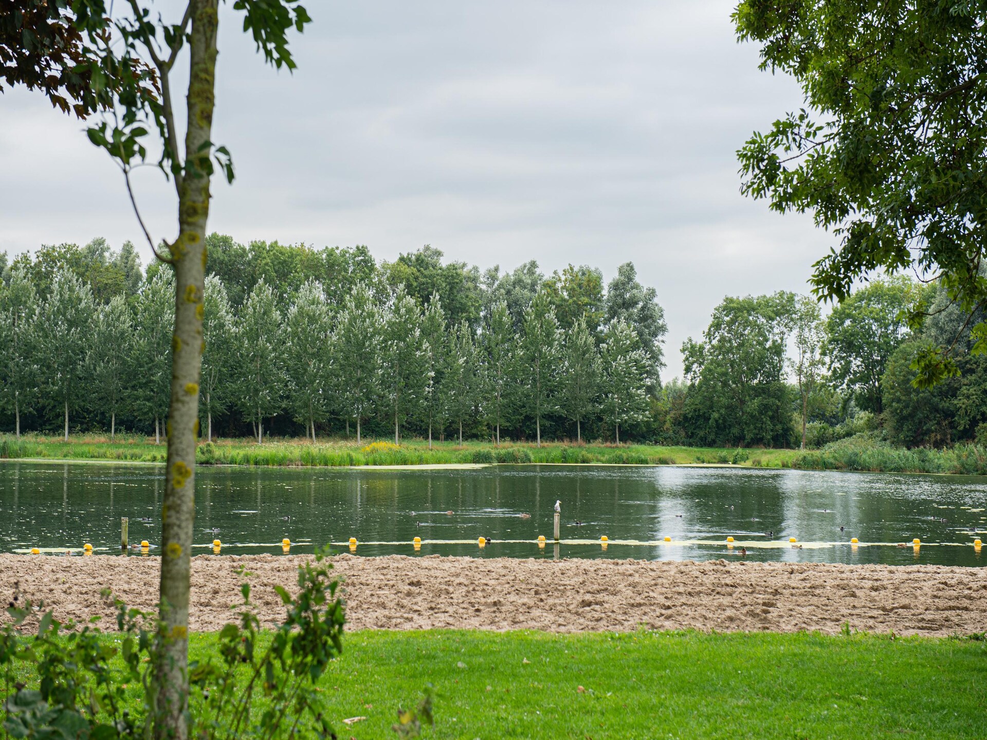 Vrijstaand vakantiehuis Rietzanger 134 aan het water in Zuid-Holland - foto 28