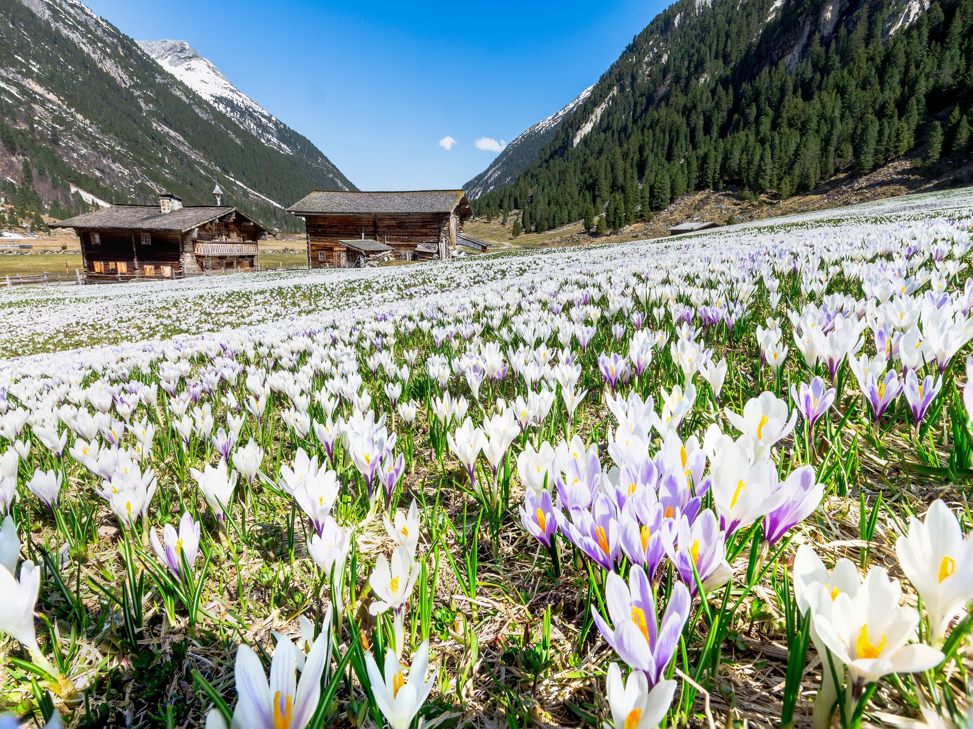 Stijlvol vakantiehuis voor 6 personen in Hochkrimml, direct bij de Zillertal Arena - foto 25