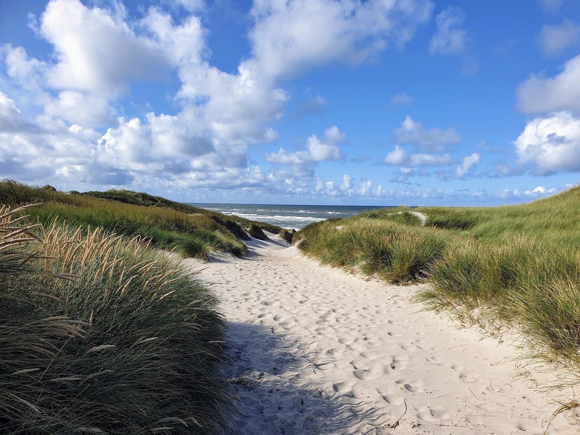 6-persoons vakantiehuis aan zee in Skals - foto 15