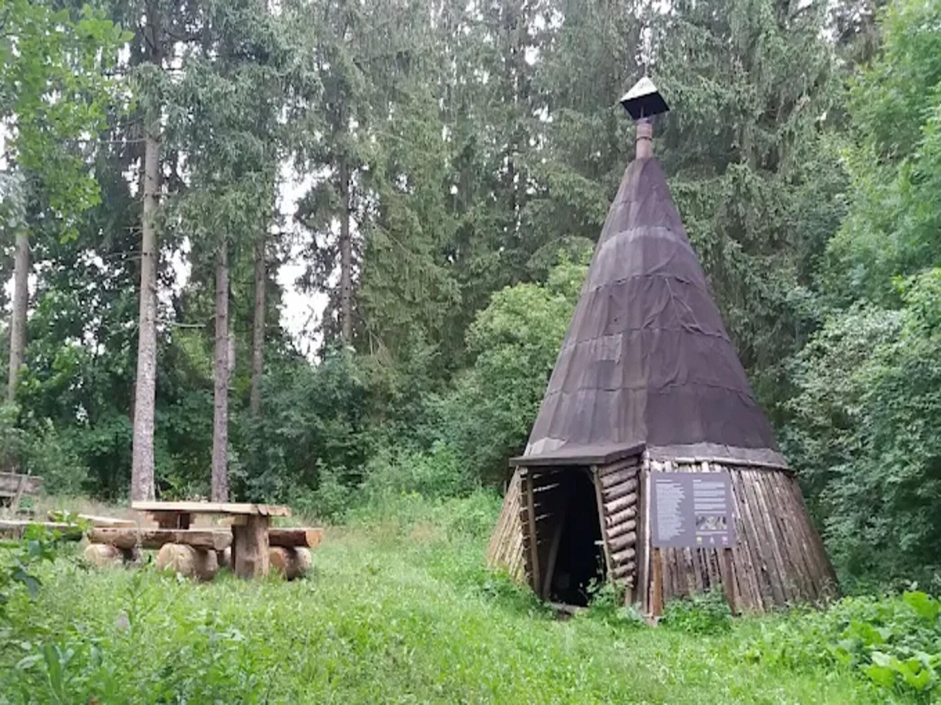 Knus bosappartement in Wildemann: direct aan het bos, 100m van centrum - foto 25
