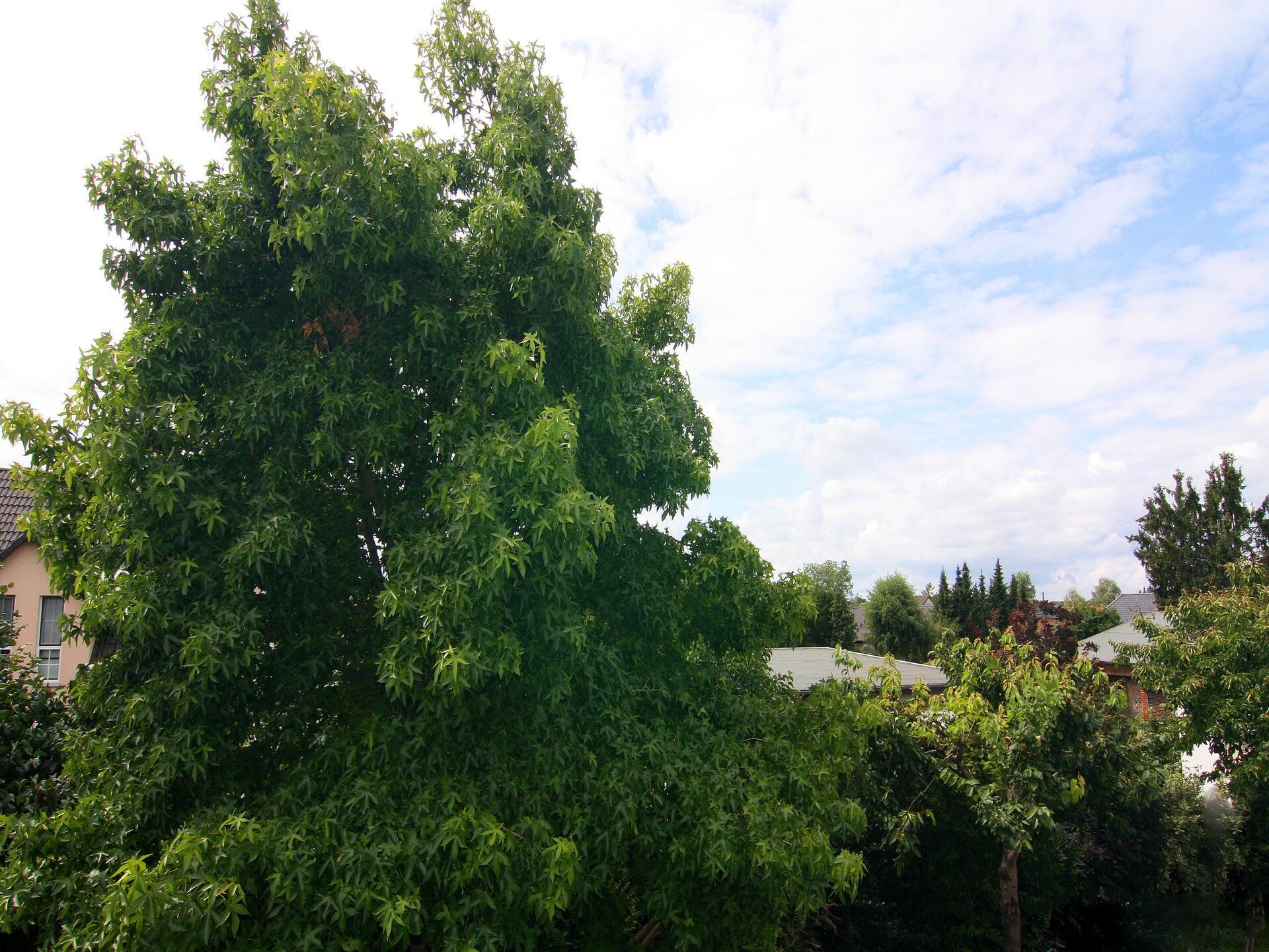 Modern appartement Fewo Amber 3 P in groen Berlin-Mahlsdorf - foto 25