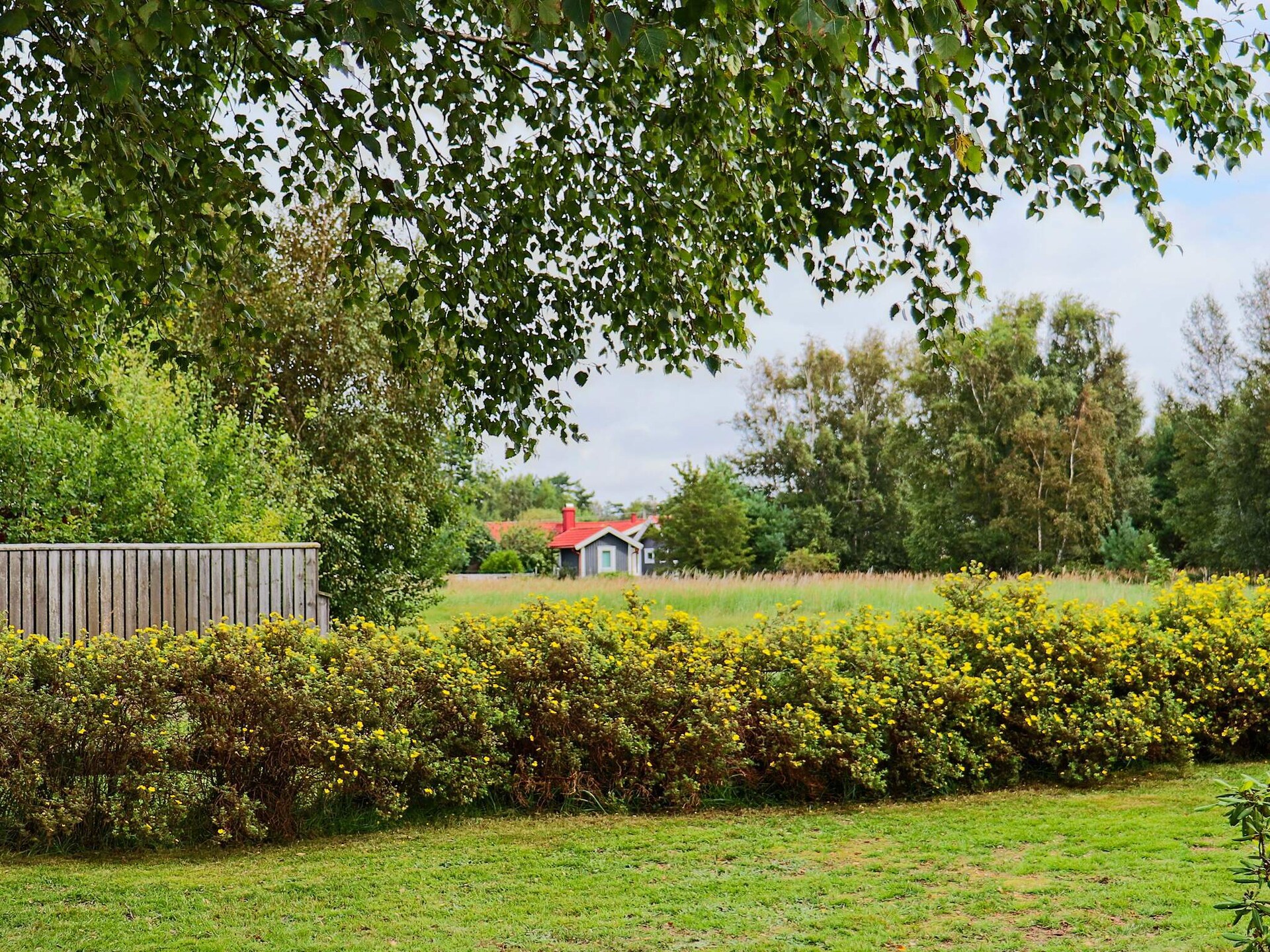 Gezellig vakantiehuis in Mellbystrand vlakbij het strand - foto 5