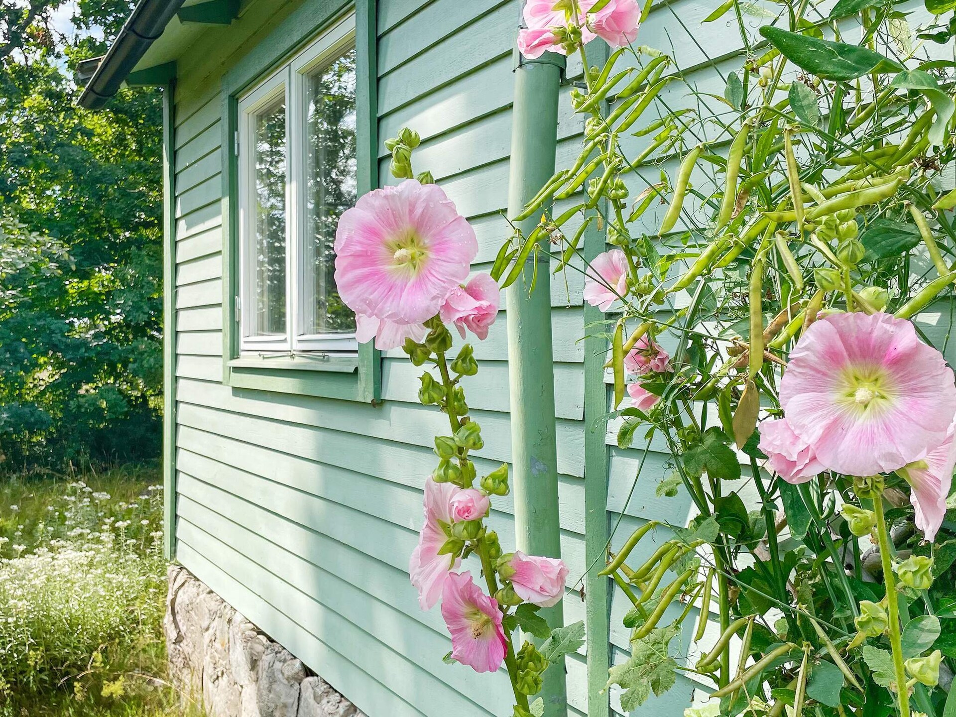Vrijstaand vakantiehuis met gastenverblijf nabij zee in Bergkvara - foto 4