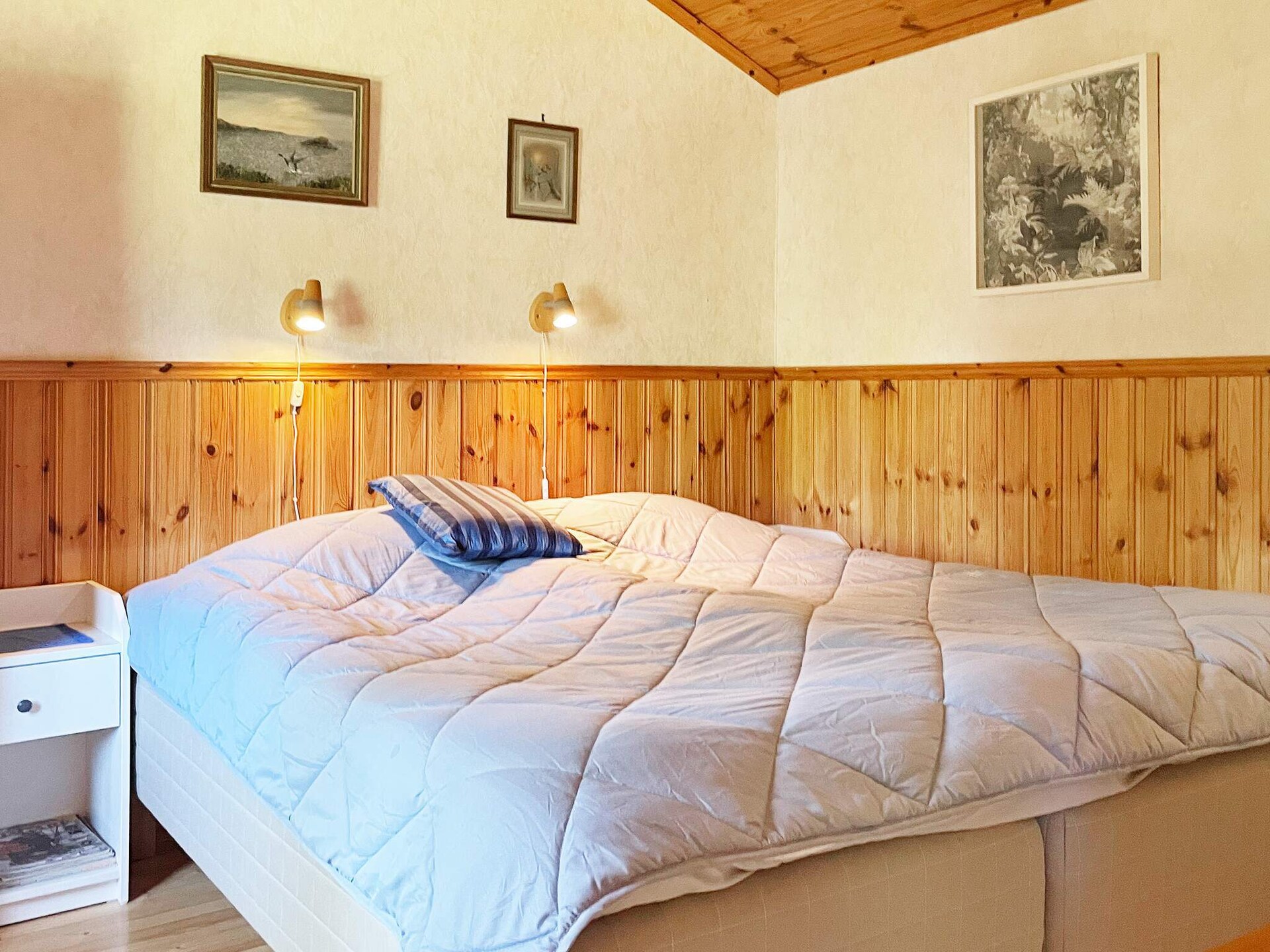 Vrijstaand vakantiehuis met gastenverblijf nabij zee in Bergkvara - foto 10