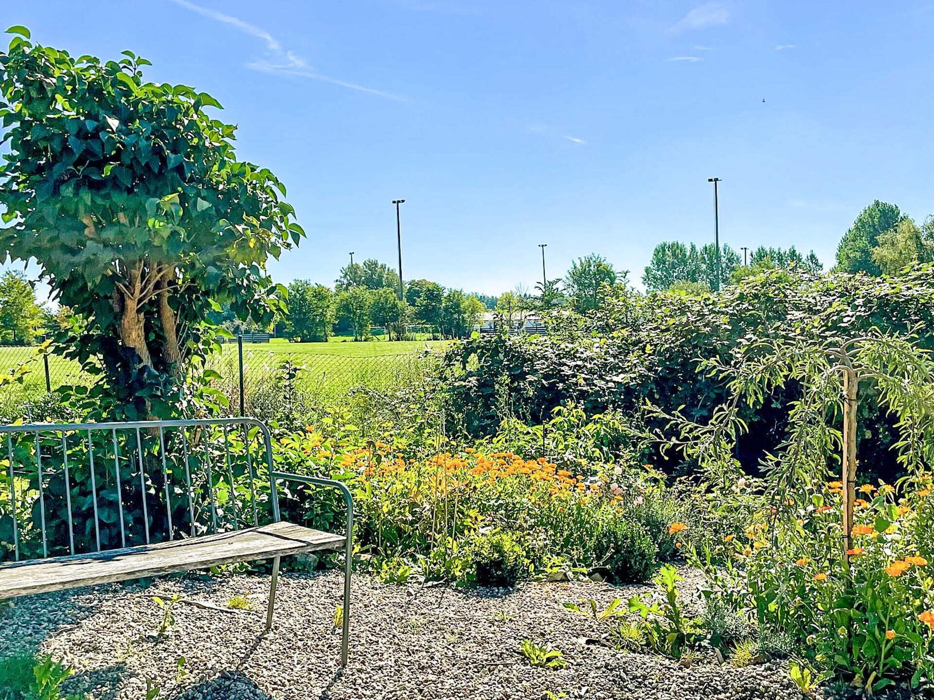 Stijlvol vakantiehuis aan de golfbaan in Österlen, vlakbij zee en meer - foto 5