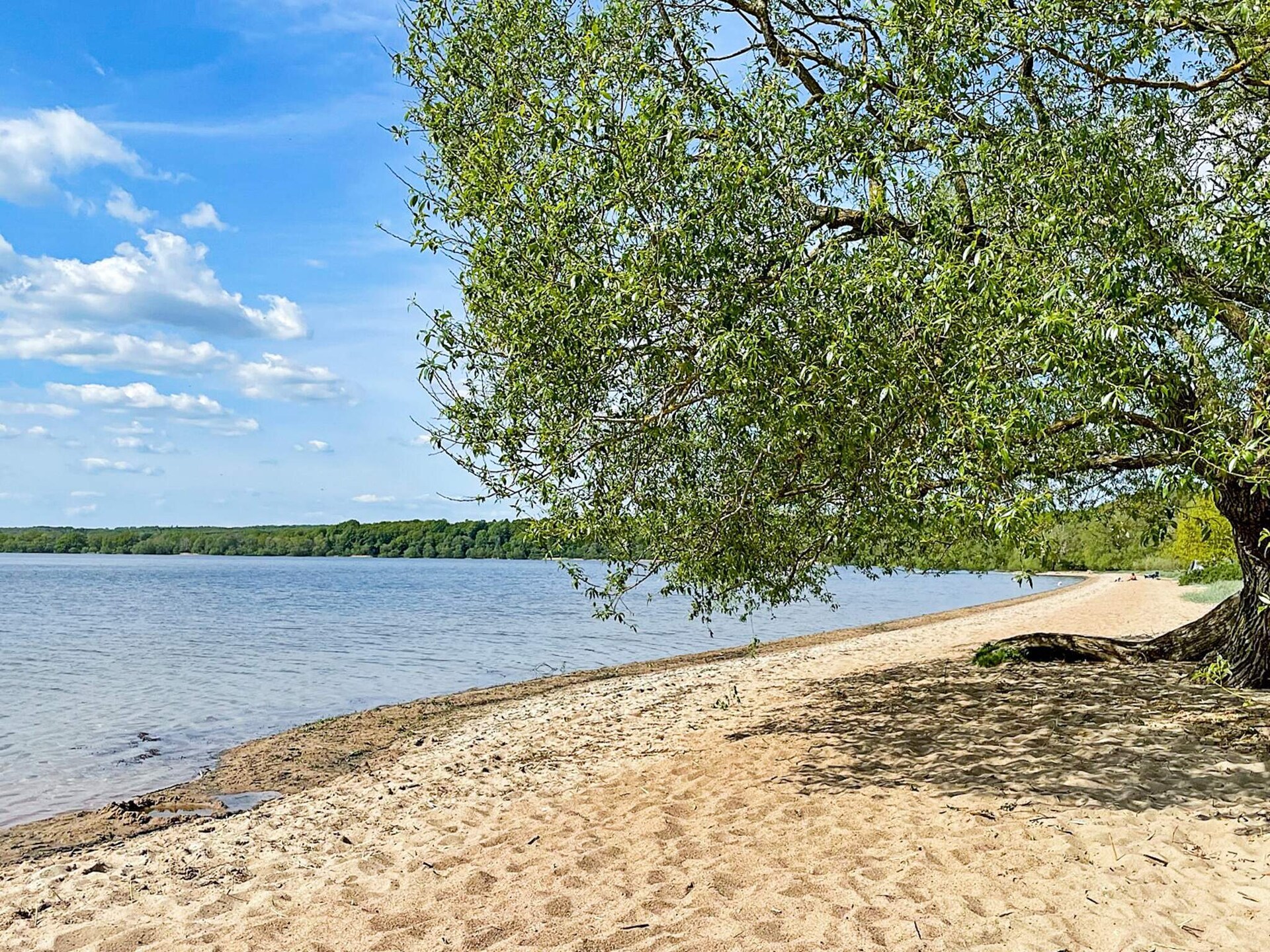 Stijlvol vakantiehuis aan de golfbaan in Österlen, vlakbij zee en meer - foto 25