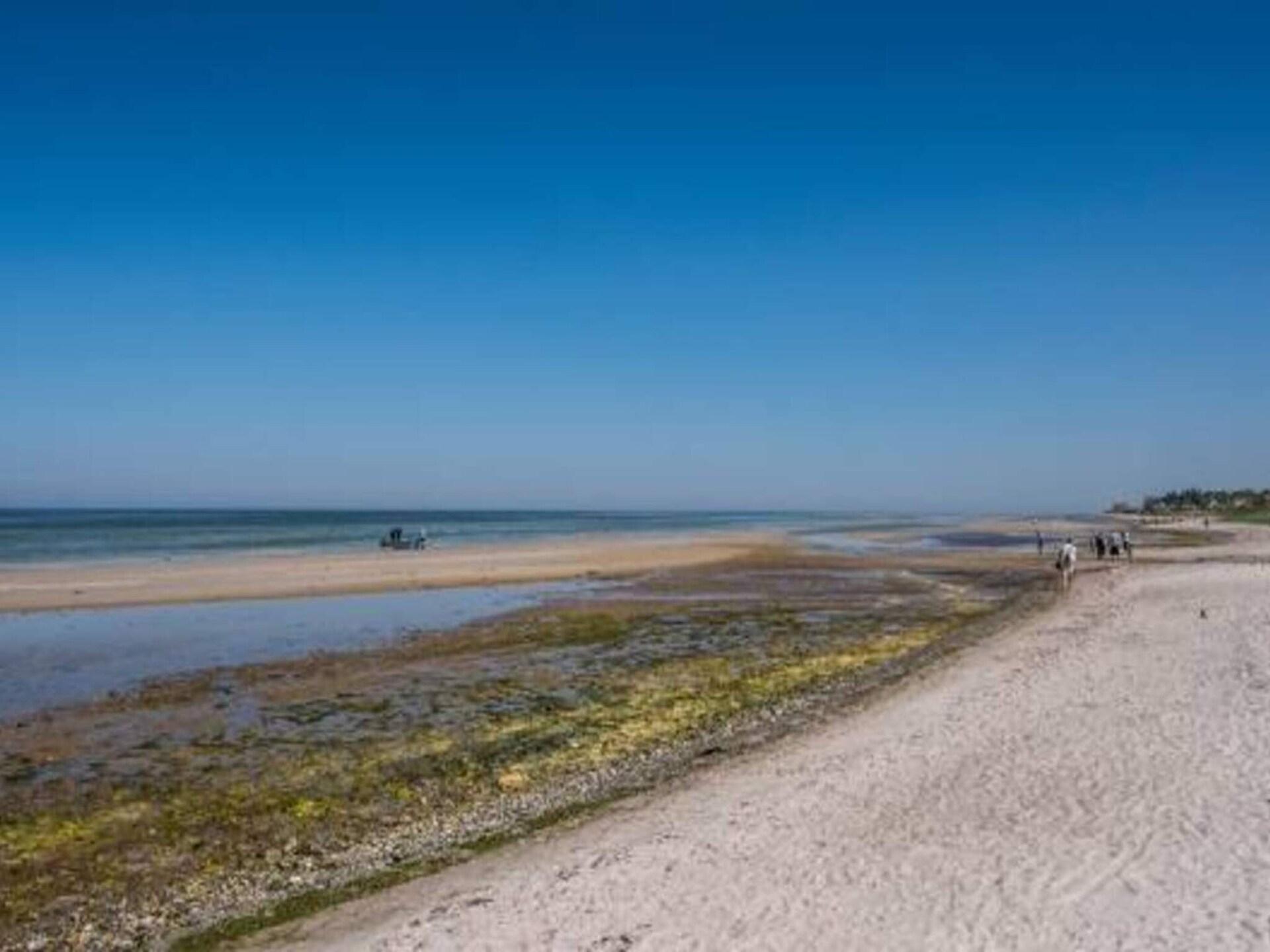 Licht vakantiehuis met aparte annex op 430 meter van het strand - foto 10