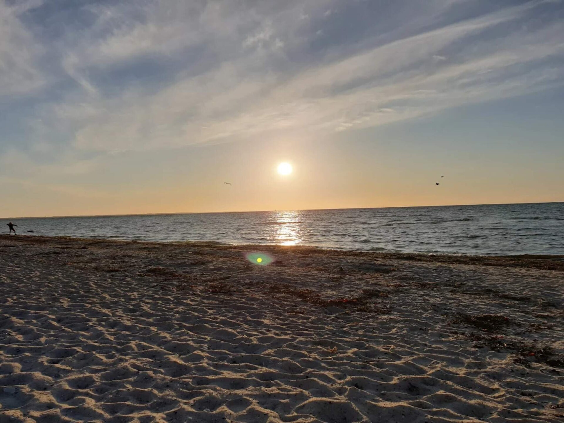 Licht vakantiehuis met aparte annex op 430 meter van het strand - foto 27