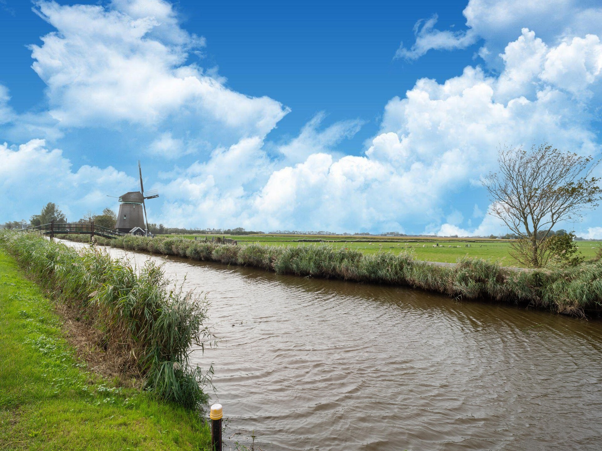 Tiny House in Burgerbrug: romantisch verblijf aan de Noord-Hollandse kust - foto 37