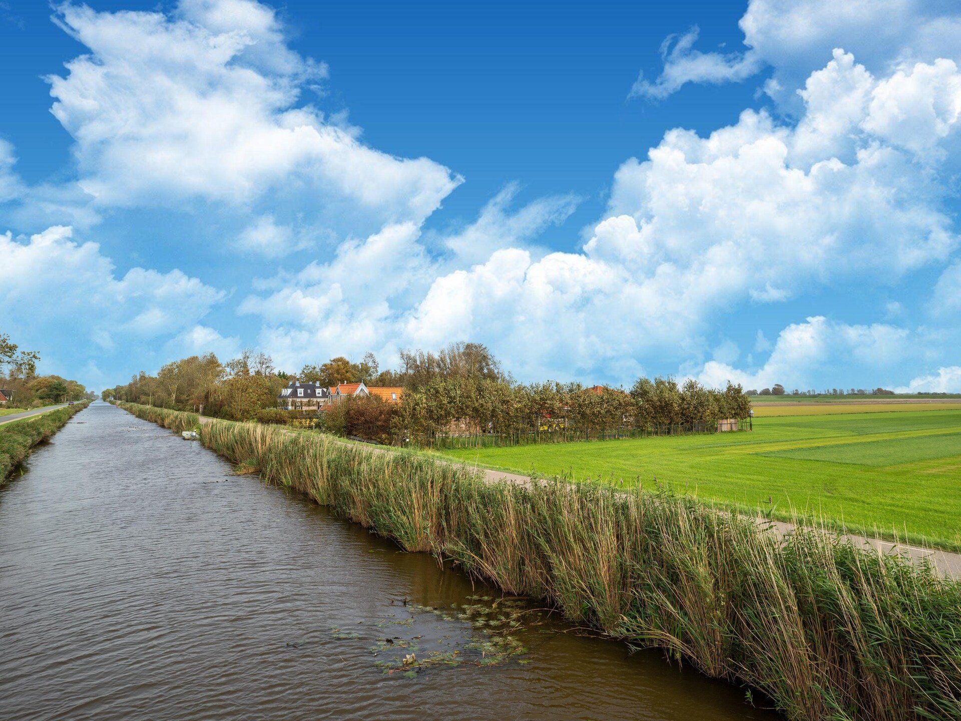 Tiny House in Burgerbrug: romantisch verblijf aan de Noord-Hollandse kust - foto 36