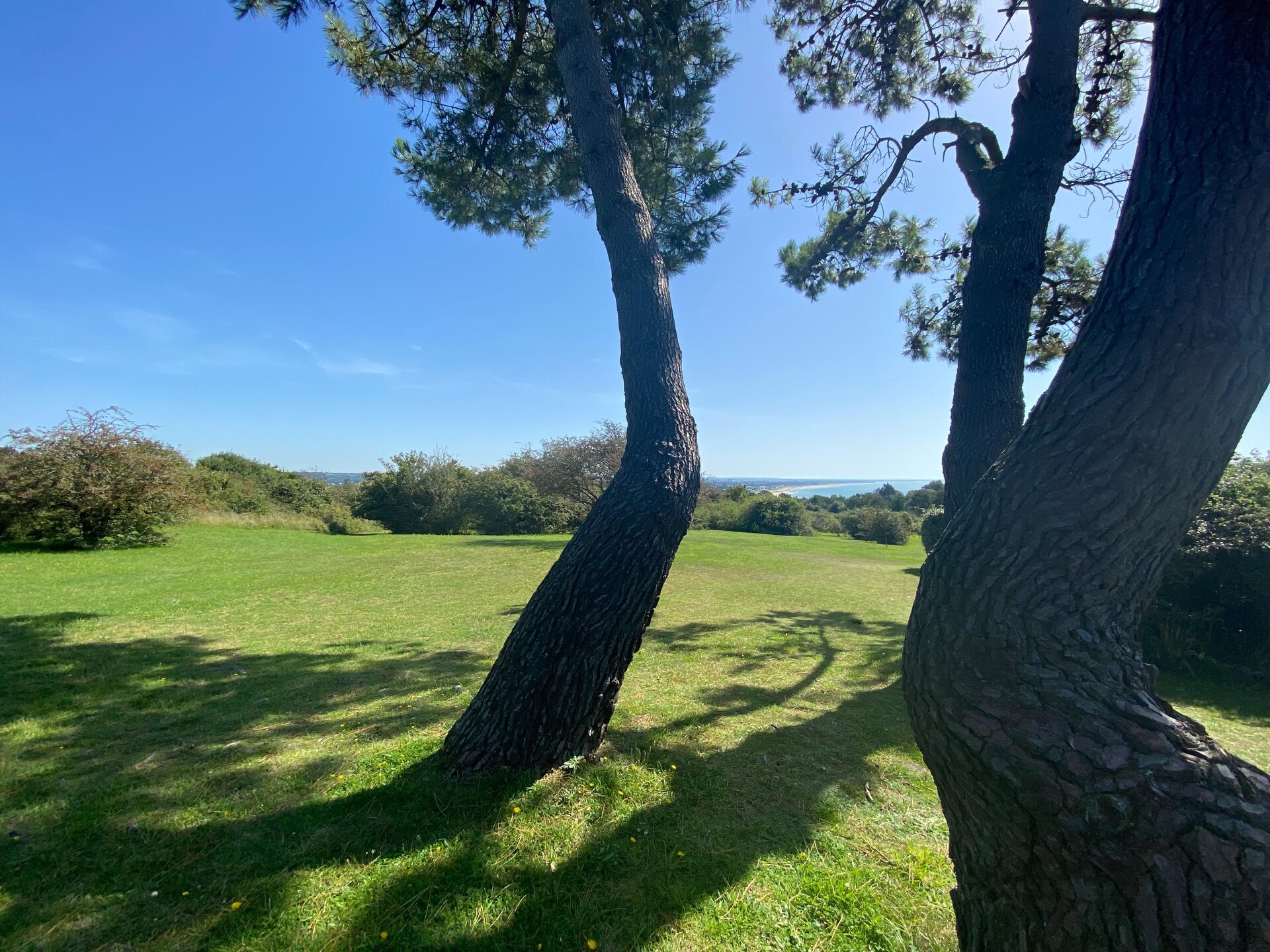 Charmant vakantiehuis aan de voet van de duinen bij Barneville-Carteret - foto 17