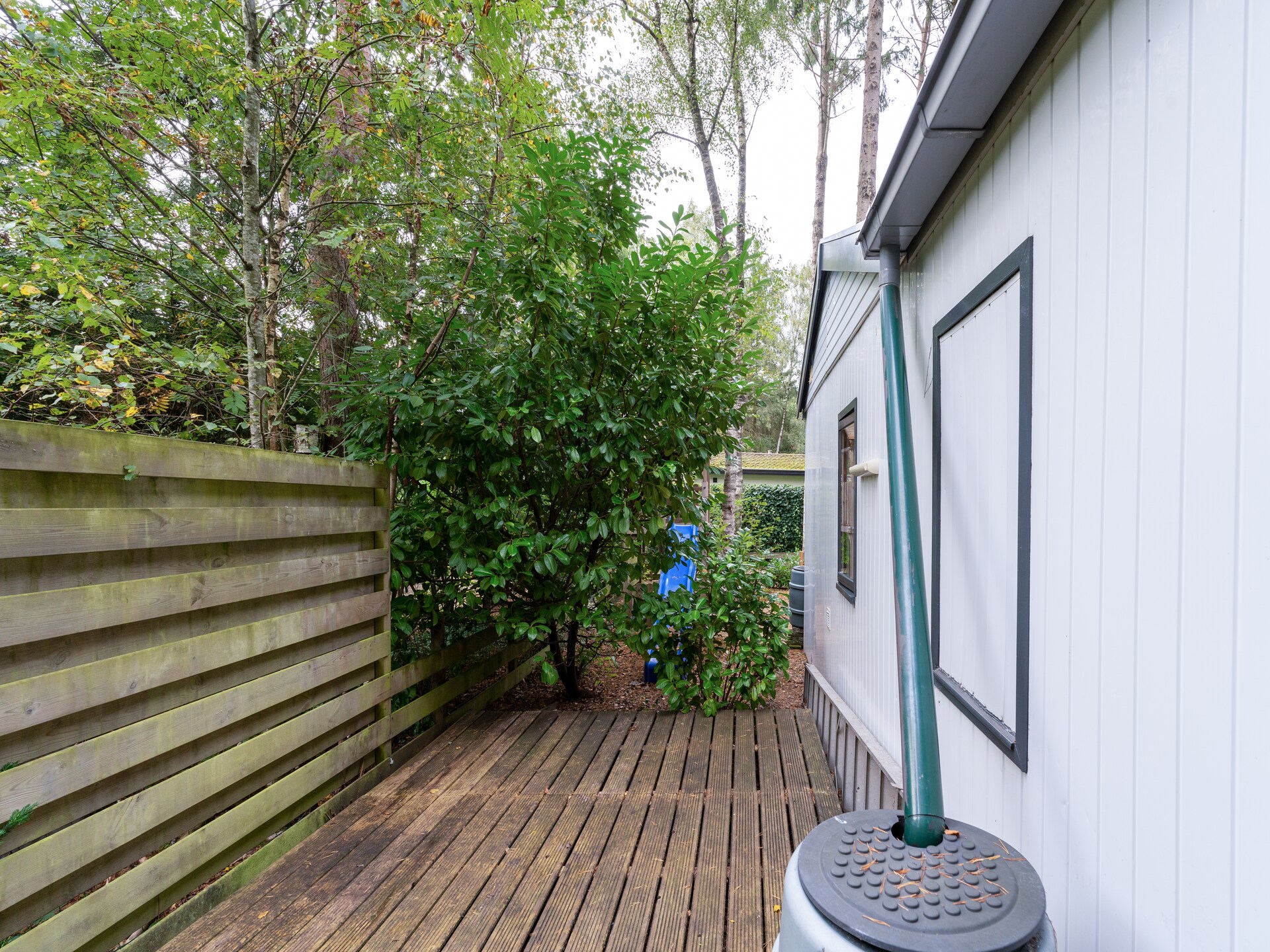 Luxe boshuisje Joy met sfeervol interieur in bosrijk Gelderland - foto 30