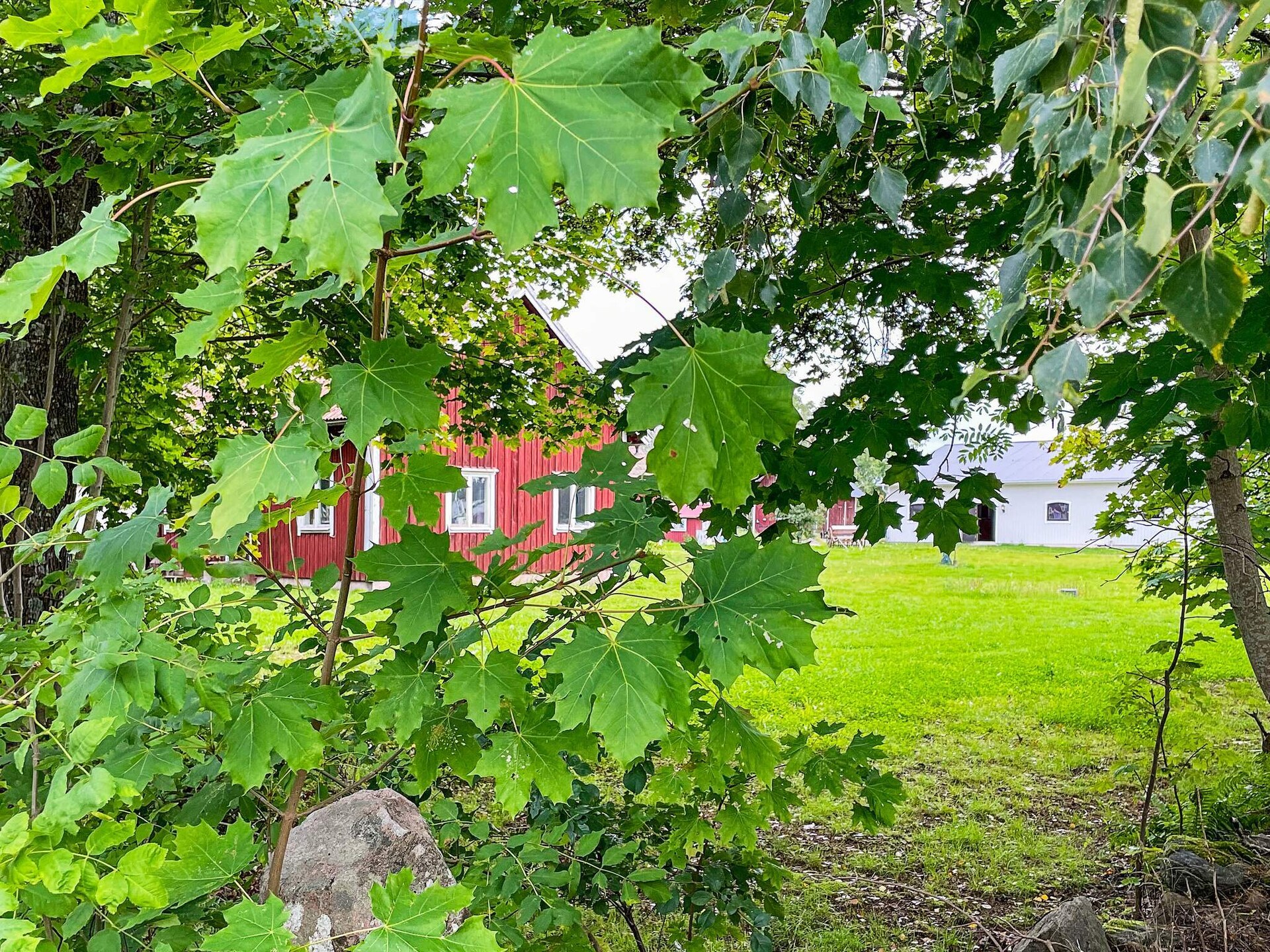 Rood-wit vakantiehuis op paardenboerderij bij Mariestad en het Vänermeer - foto 12