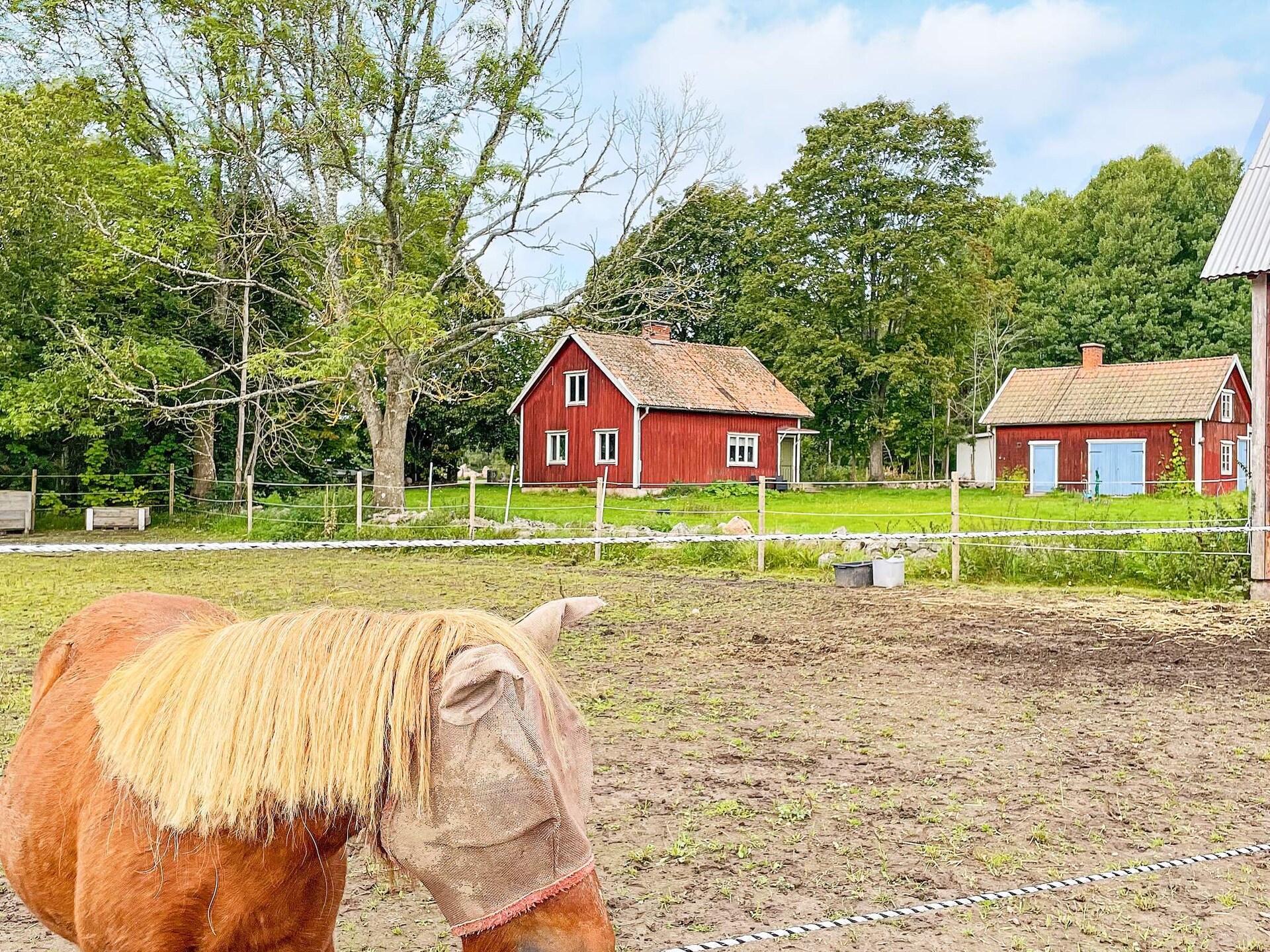 Rood-wit vakantiehuis op paardenboerderij bij Mariestad en het Vänermeer - foto 15