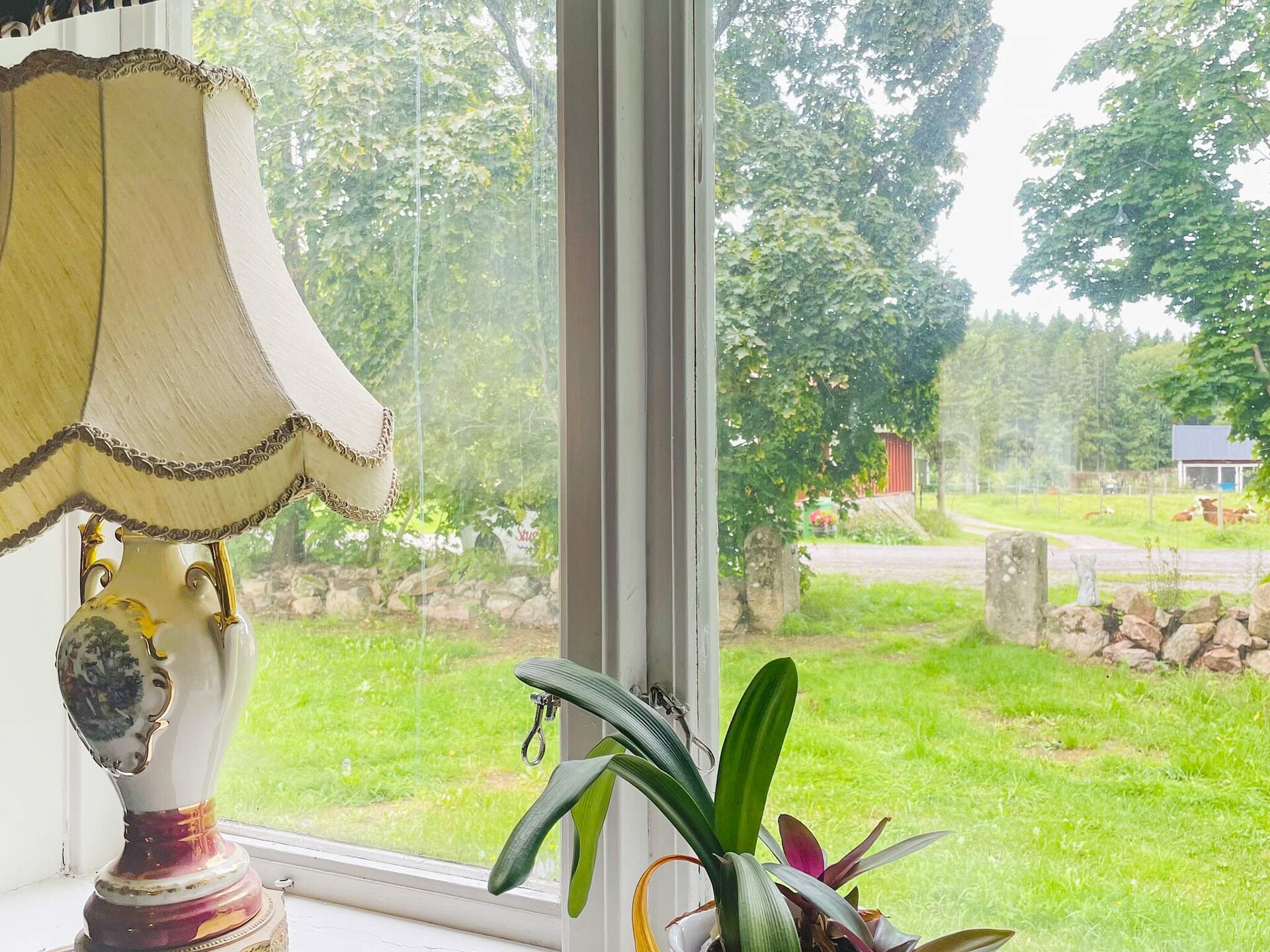 Rood-wit vakantiehuis op paardenboerderij bij Mariestad en het Vänermeer - foto 21